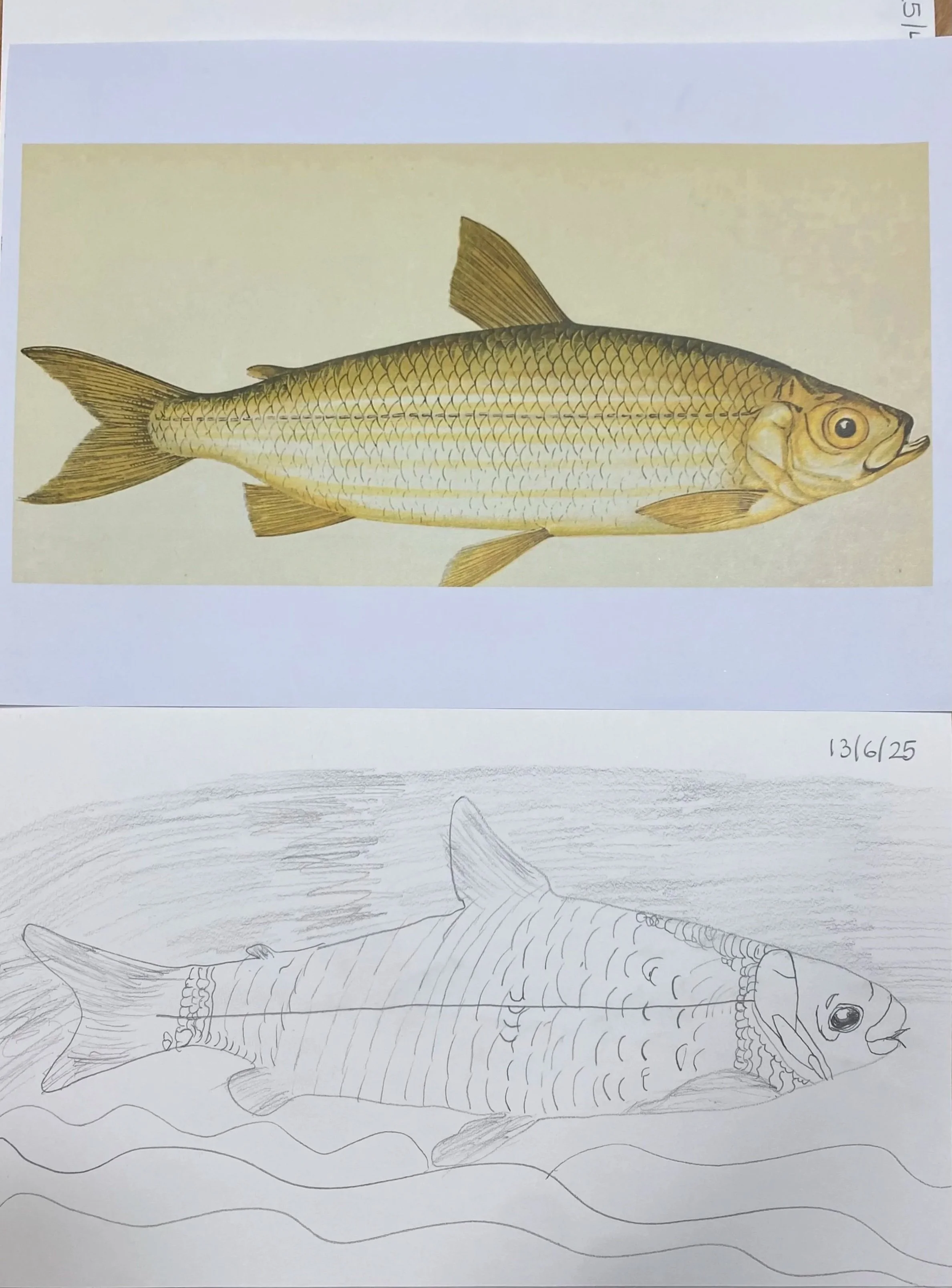 Copying practice in Art 2025