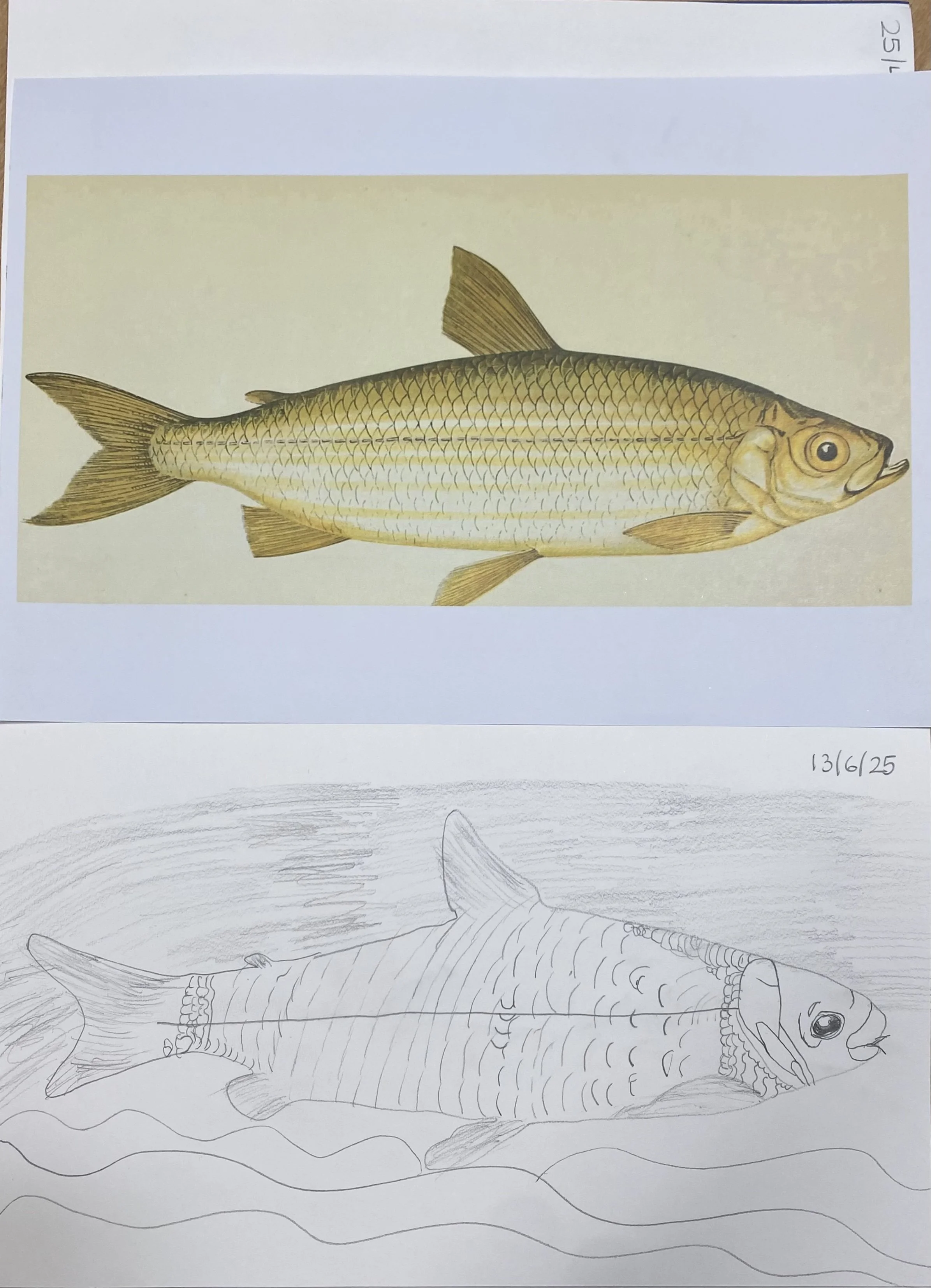 Copying practice in Art 2025