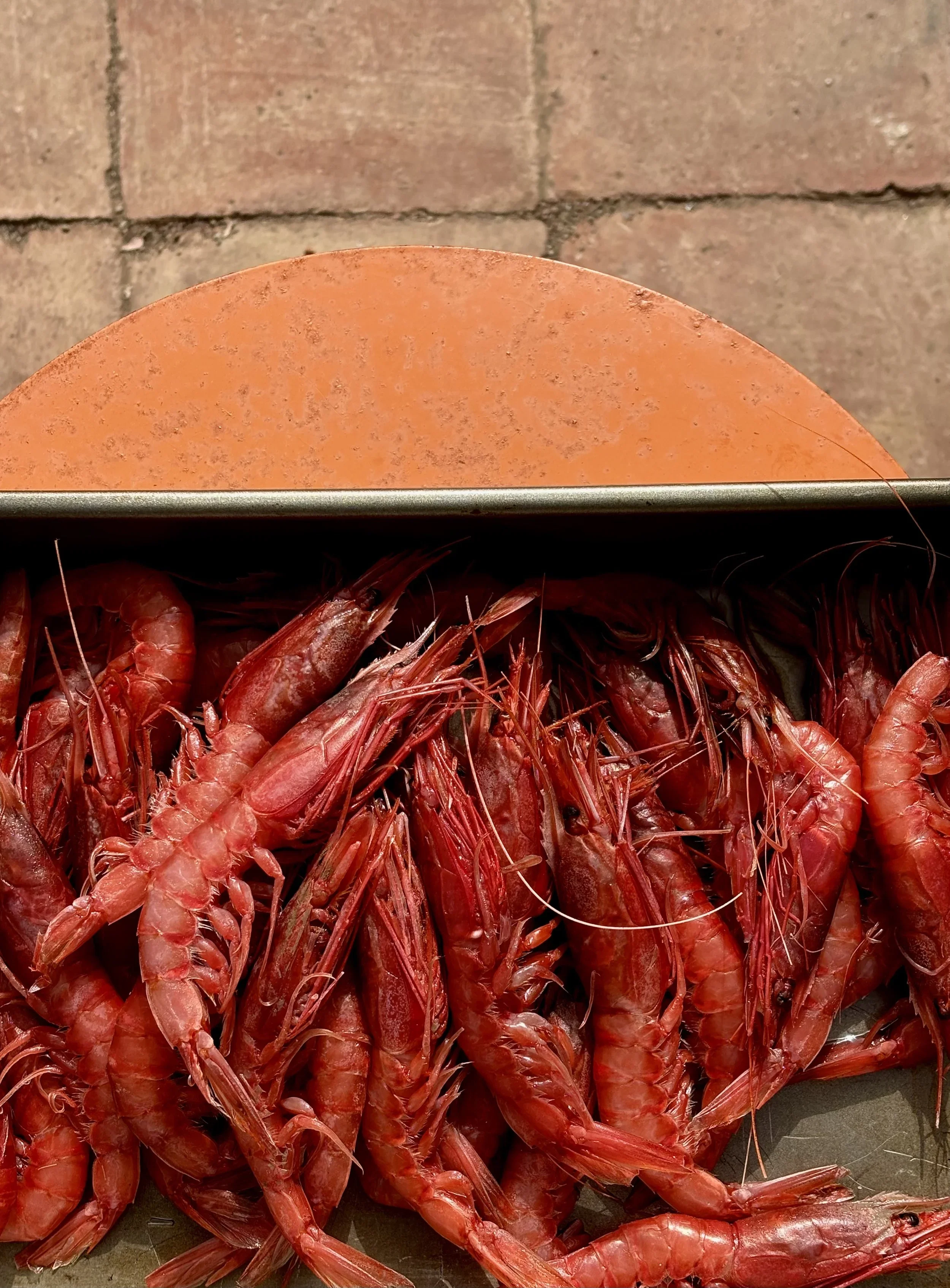 Lauren food pic 6.webp