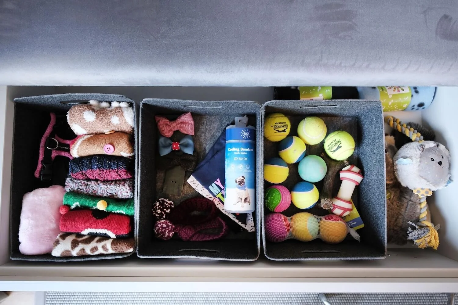 Dog toys and dog clothes neatly organised in a drawer.
