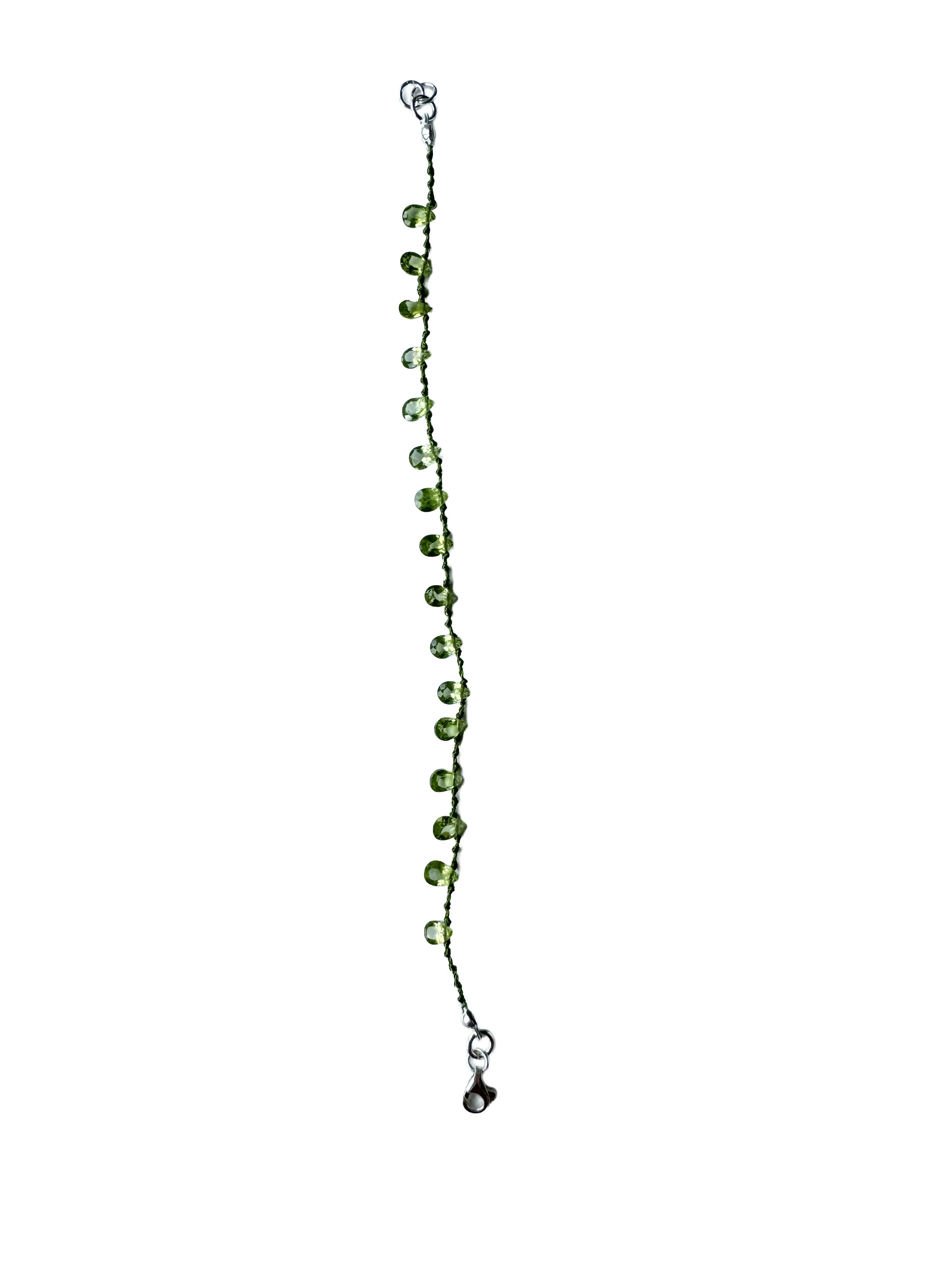 LORO VERDE.jpg