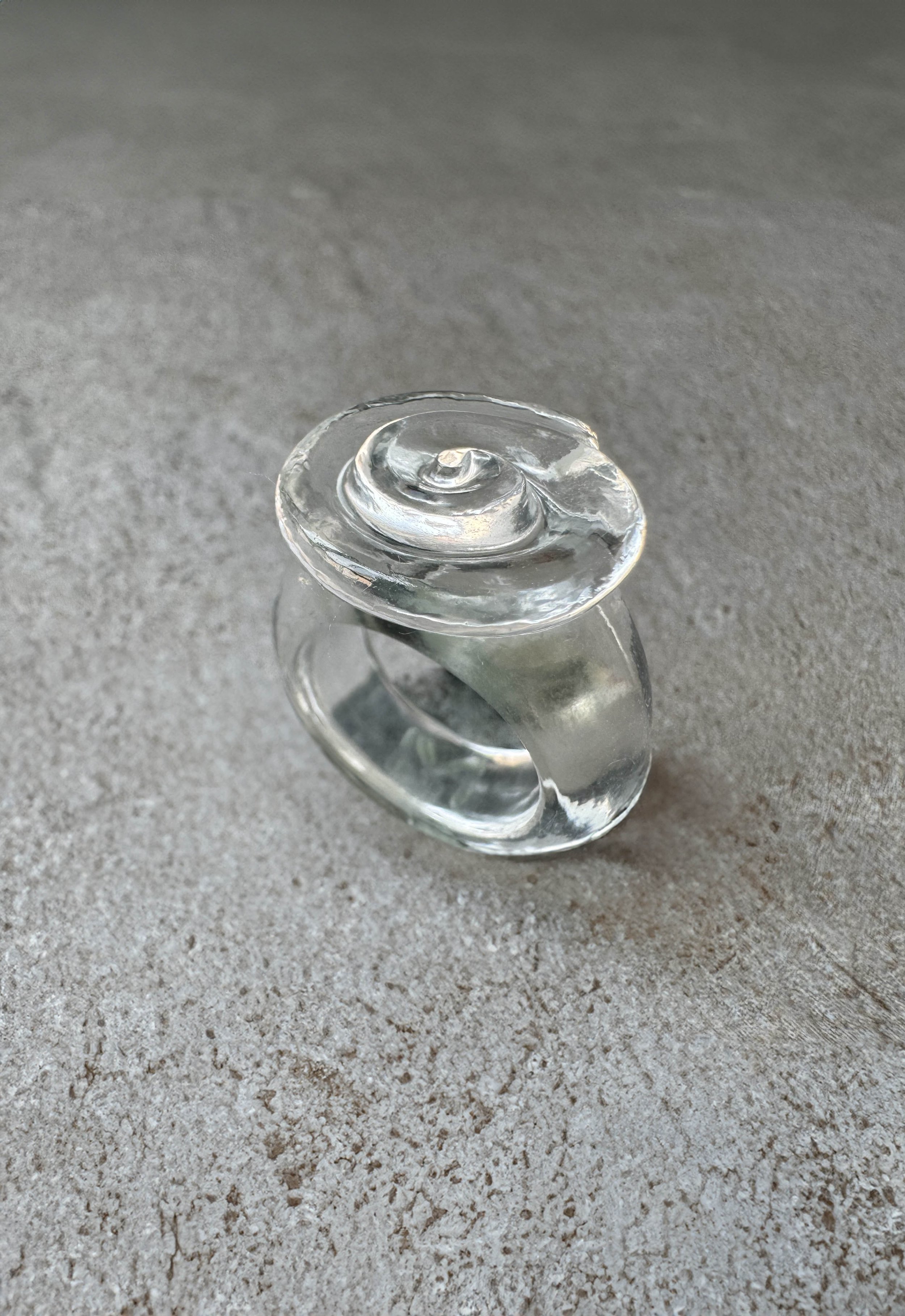 caracol rinf web .jpg
