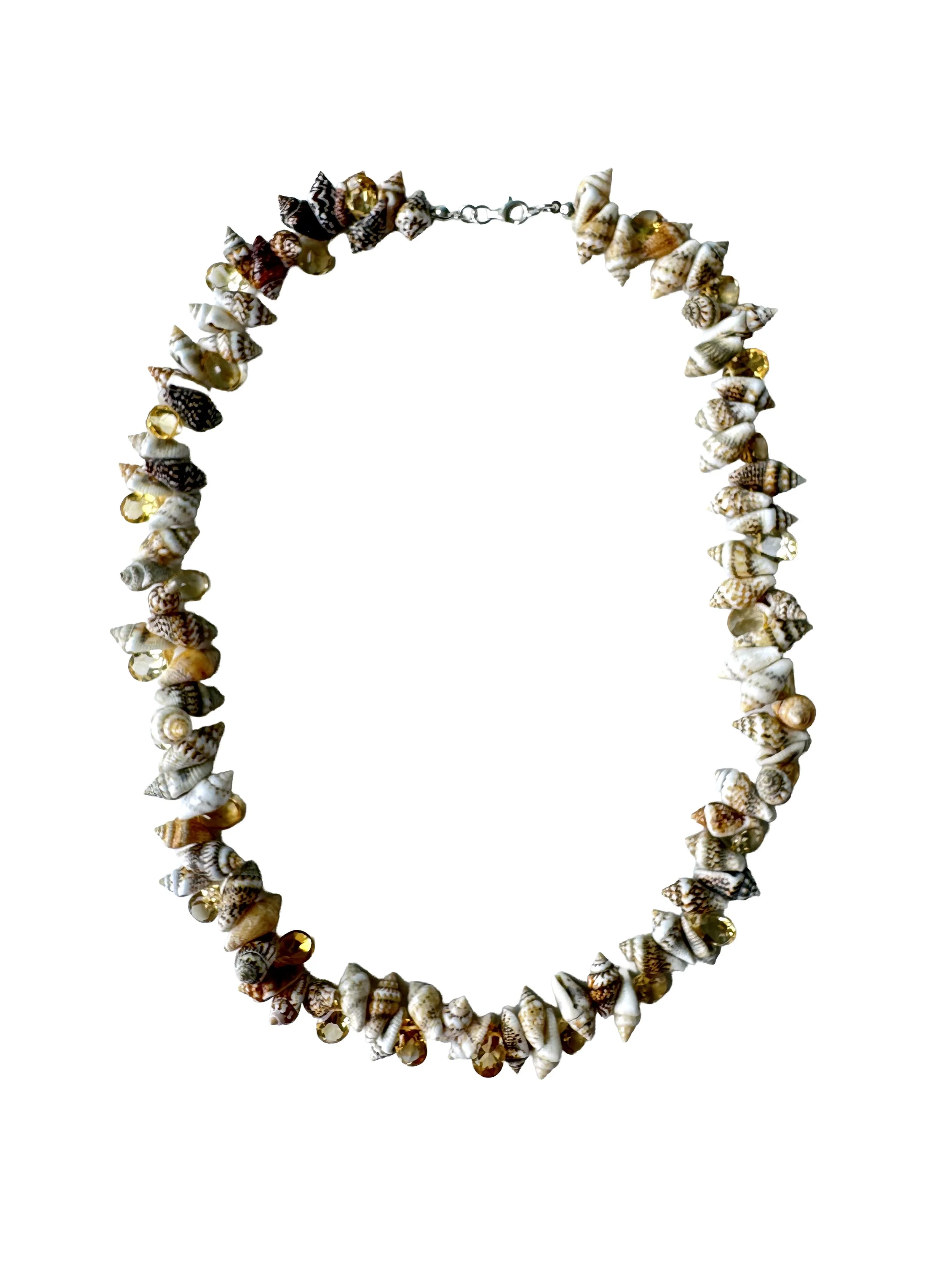 CITRINE SHELLS .jpg