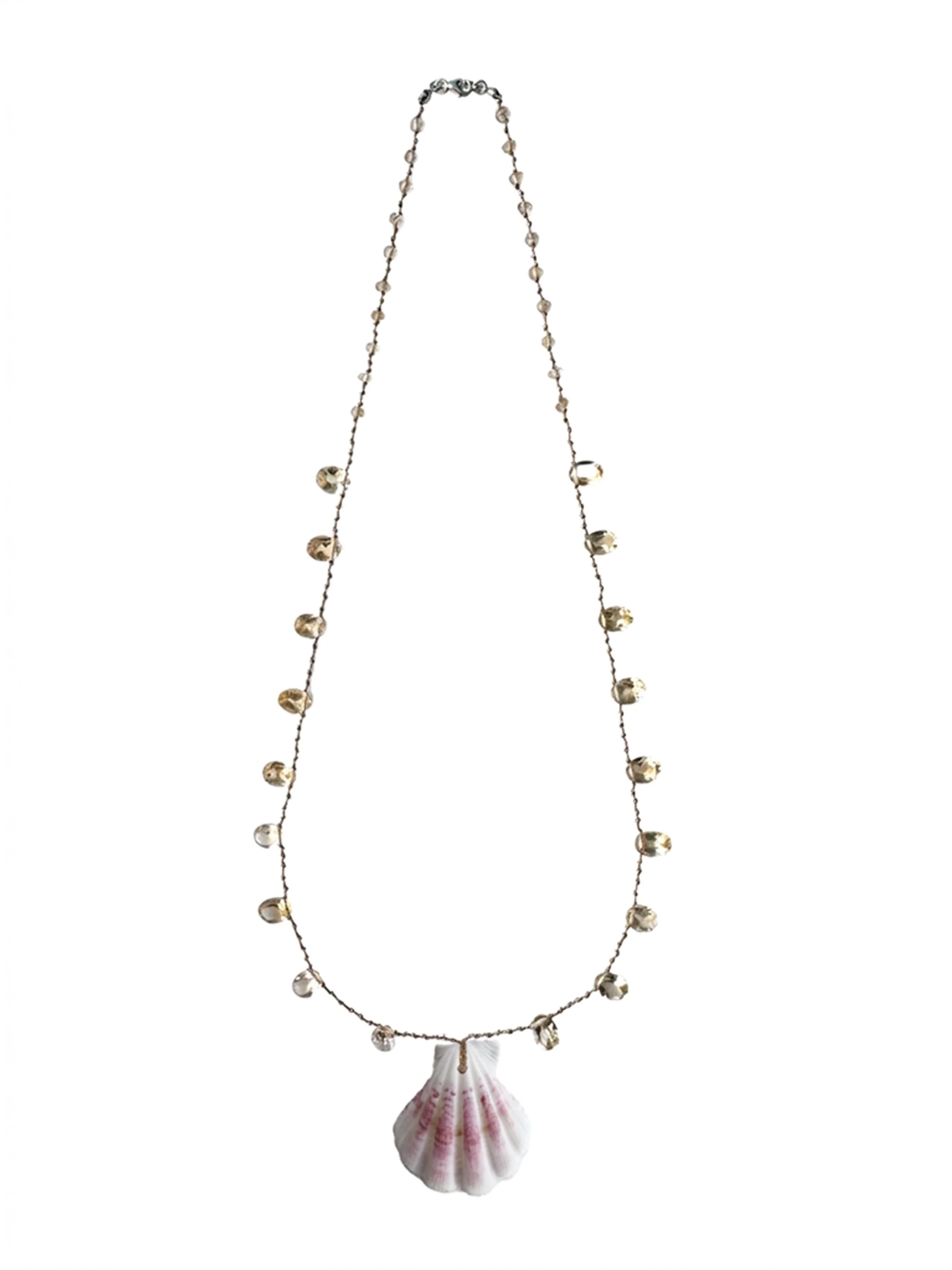 SHELL OVAL  copia2.jpg