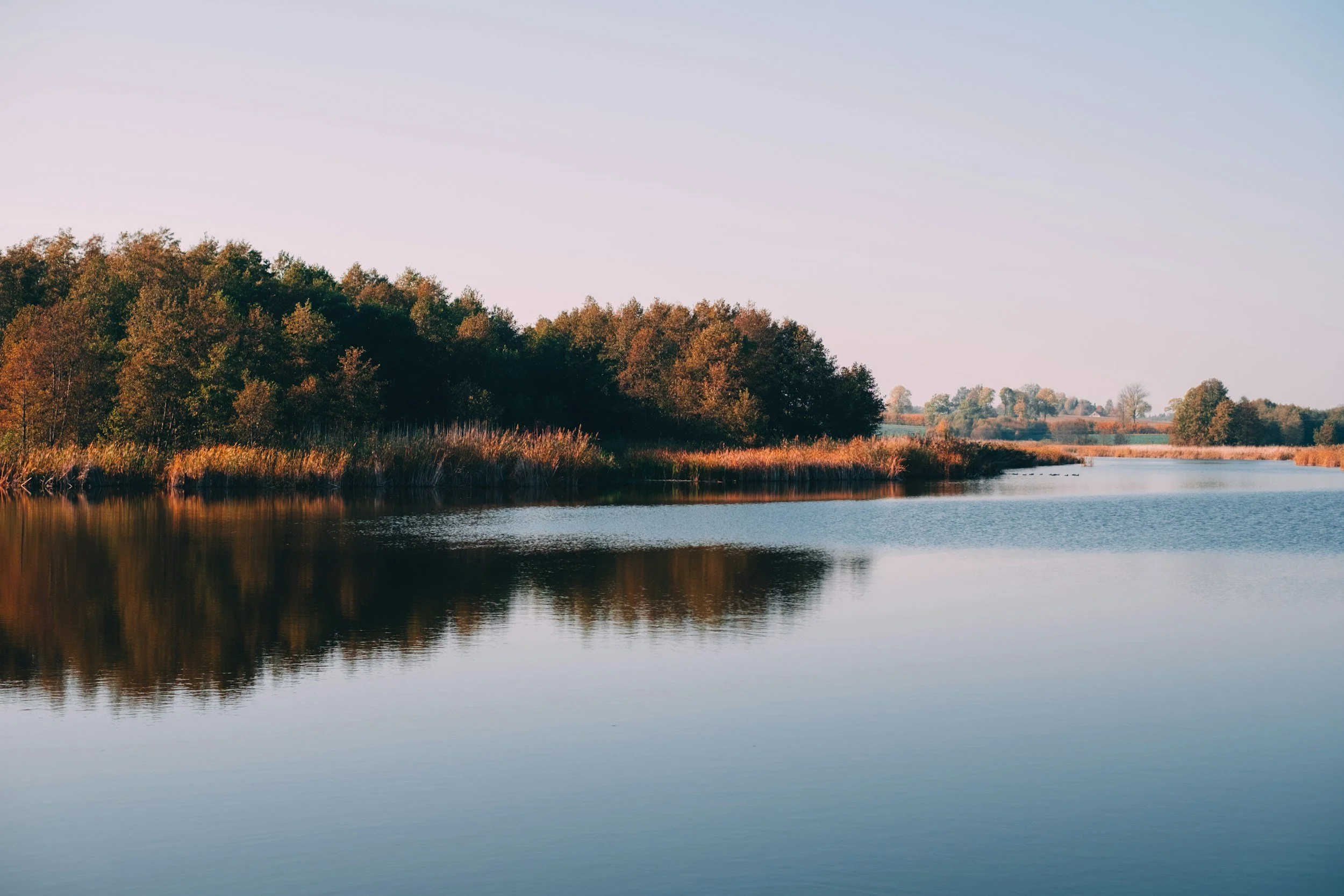 Calm lake bordered by forest in Canal Flats, offering affordable lakeside properties with access to nature.