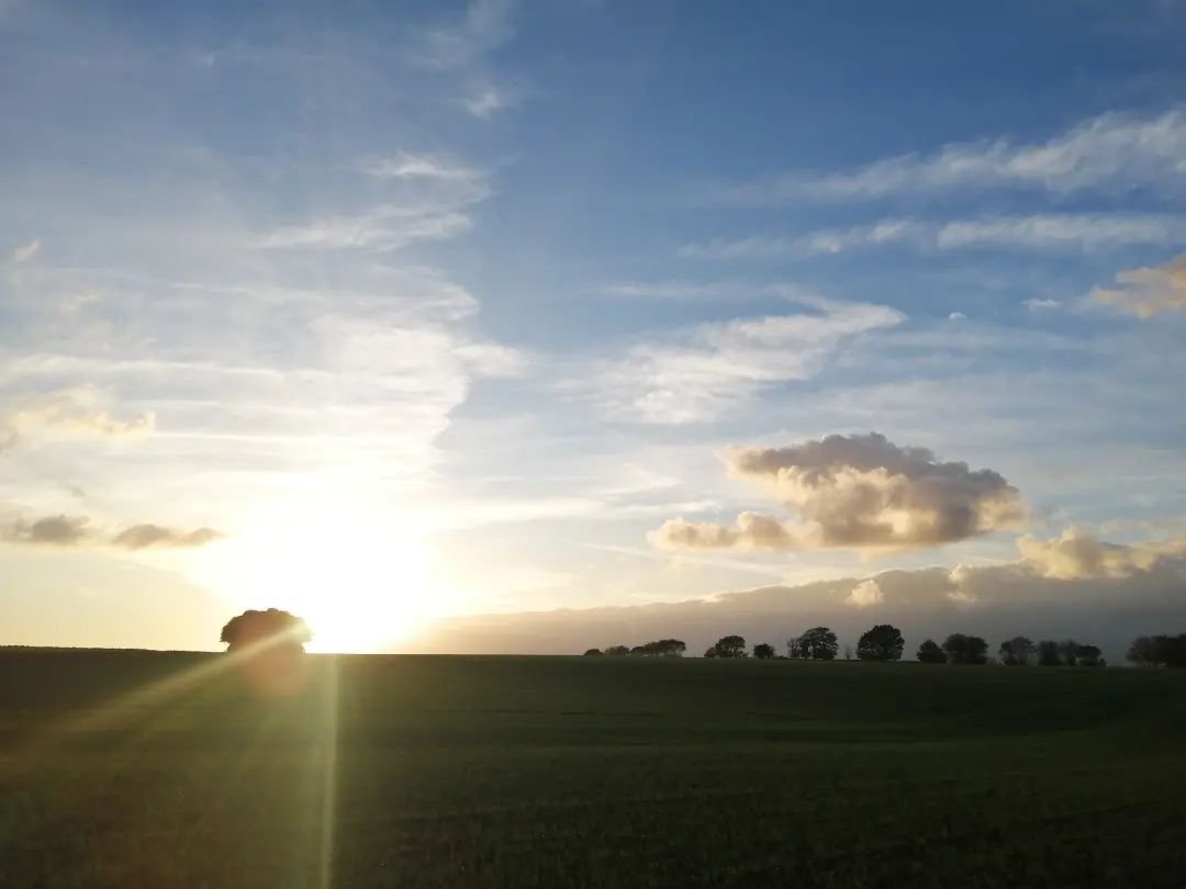 Kent is beautiful, especially at sunset. I love it. From this high point of Adisham Downs you can see the sea, offshore windmills, Thanet Earth and a vast expanse of Kent. Wow!
