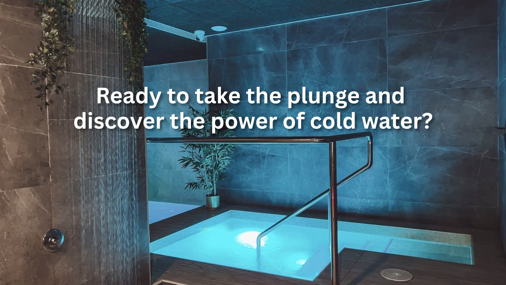 Ready to take the plunge and discover the power of cold water?