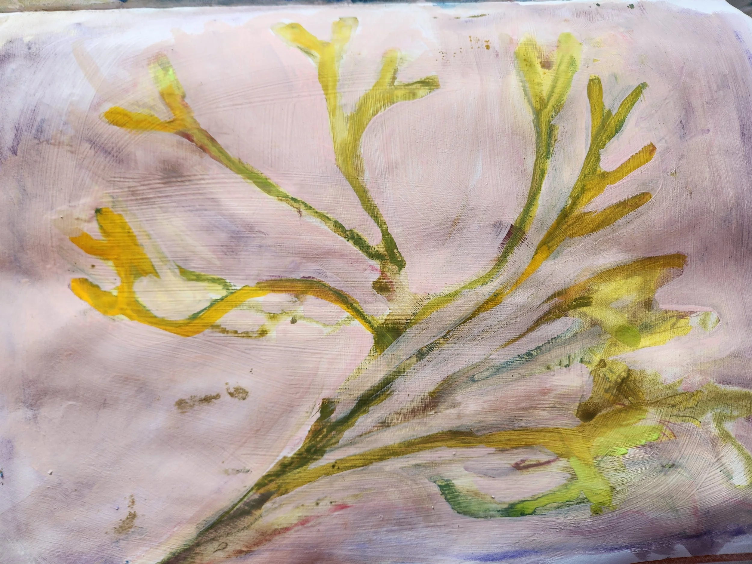 Seaweed wrack beach art mixed media northumberland.jpg