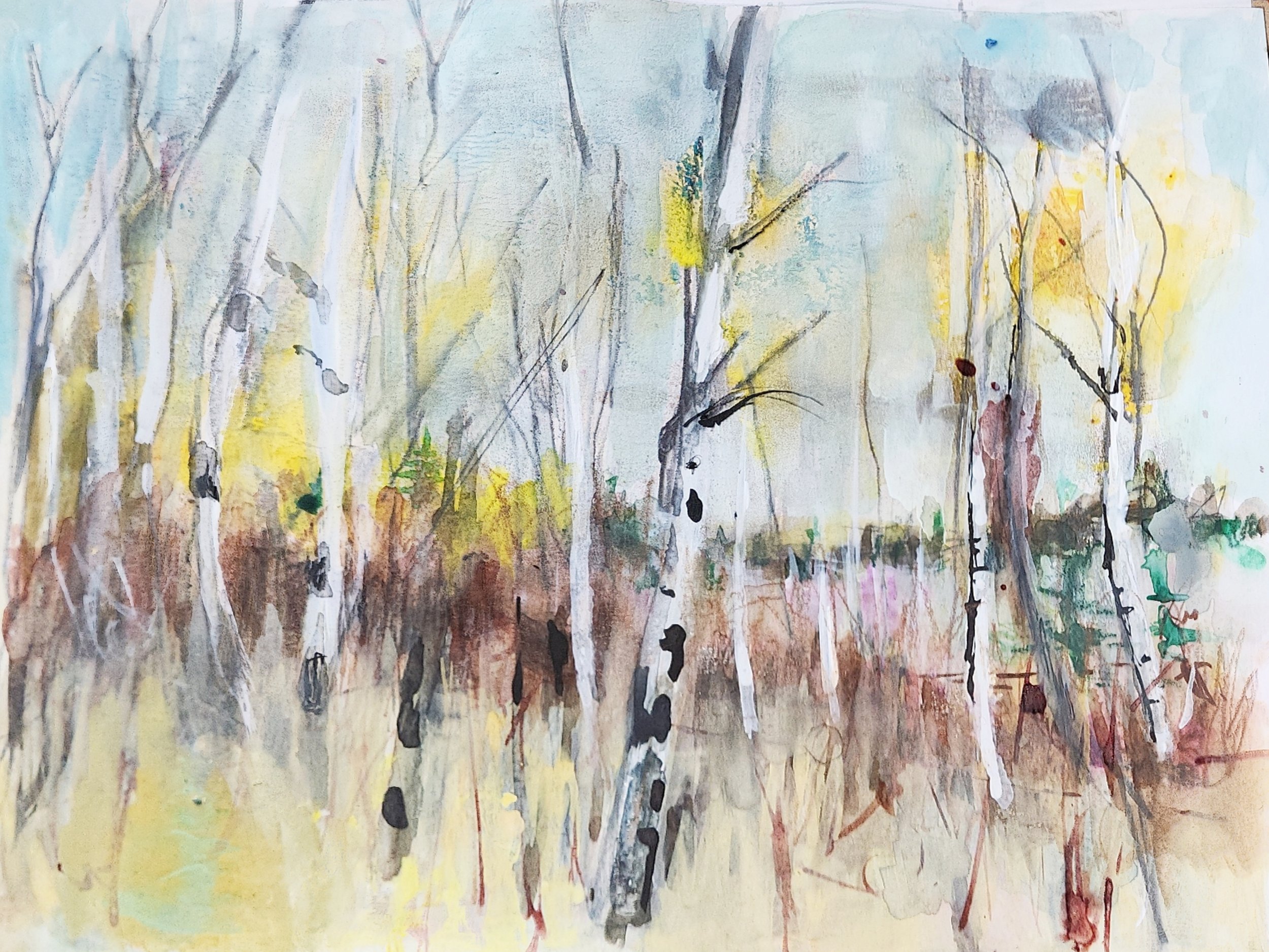 Porcupine Forest, again