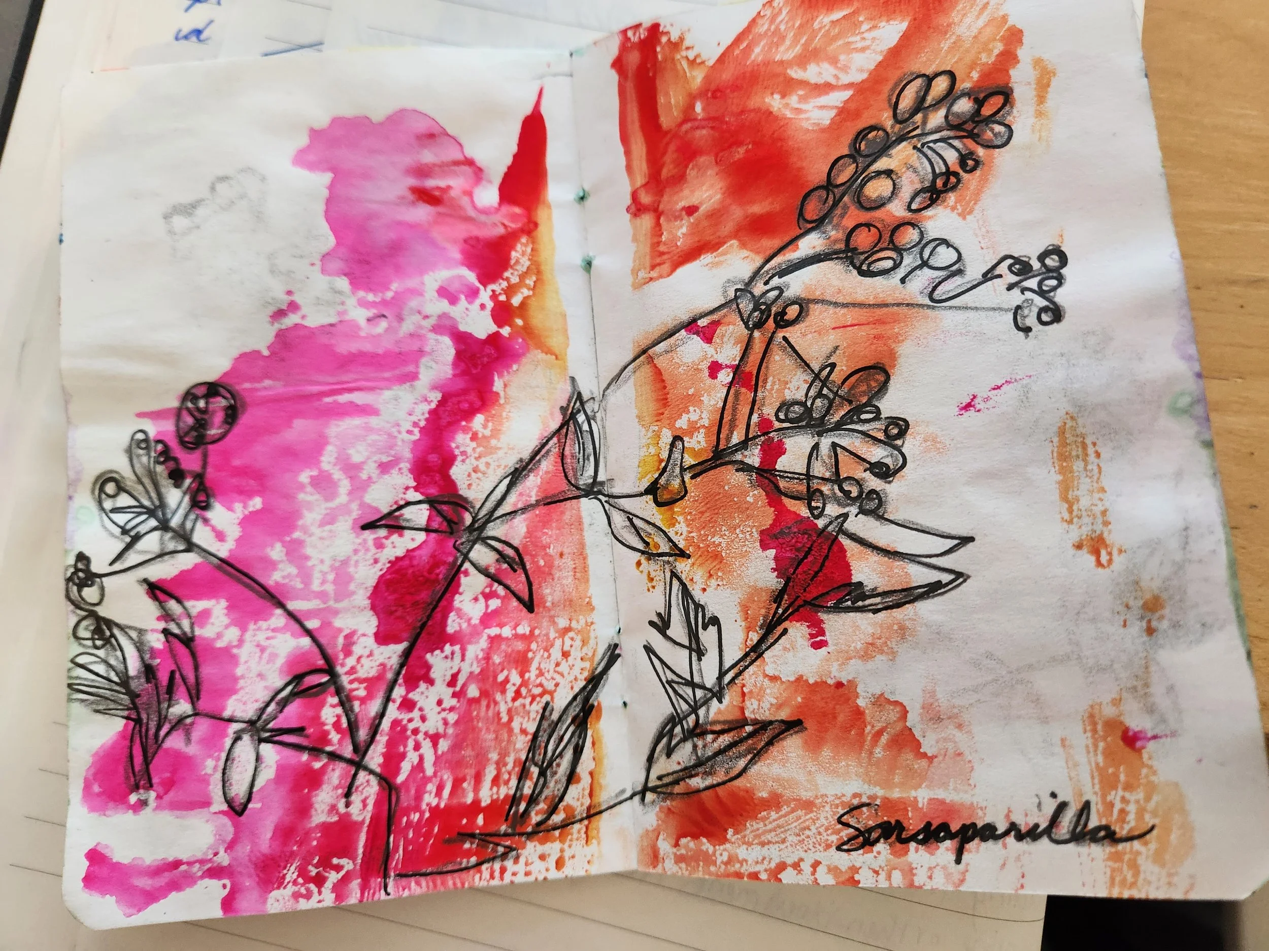 Sarsaparilla wild plants art saskatchewan la ronge sketchbook.jpg