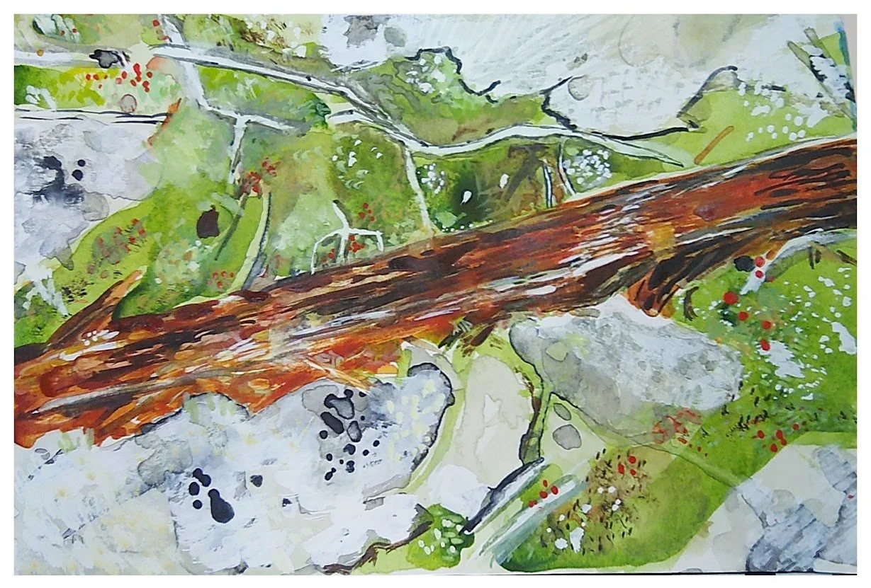 Decaying tree lac la ronge painting art.jpg