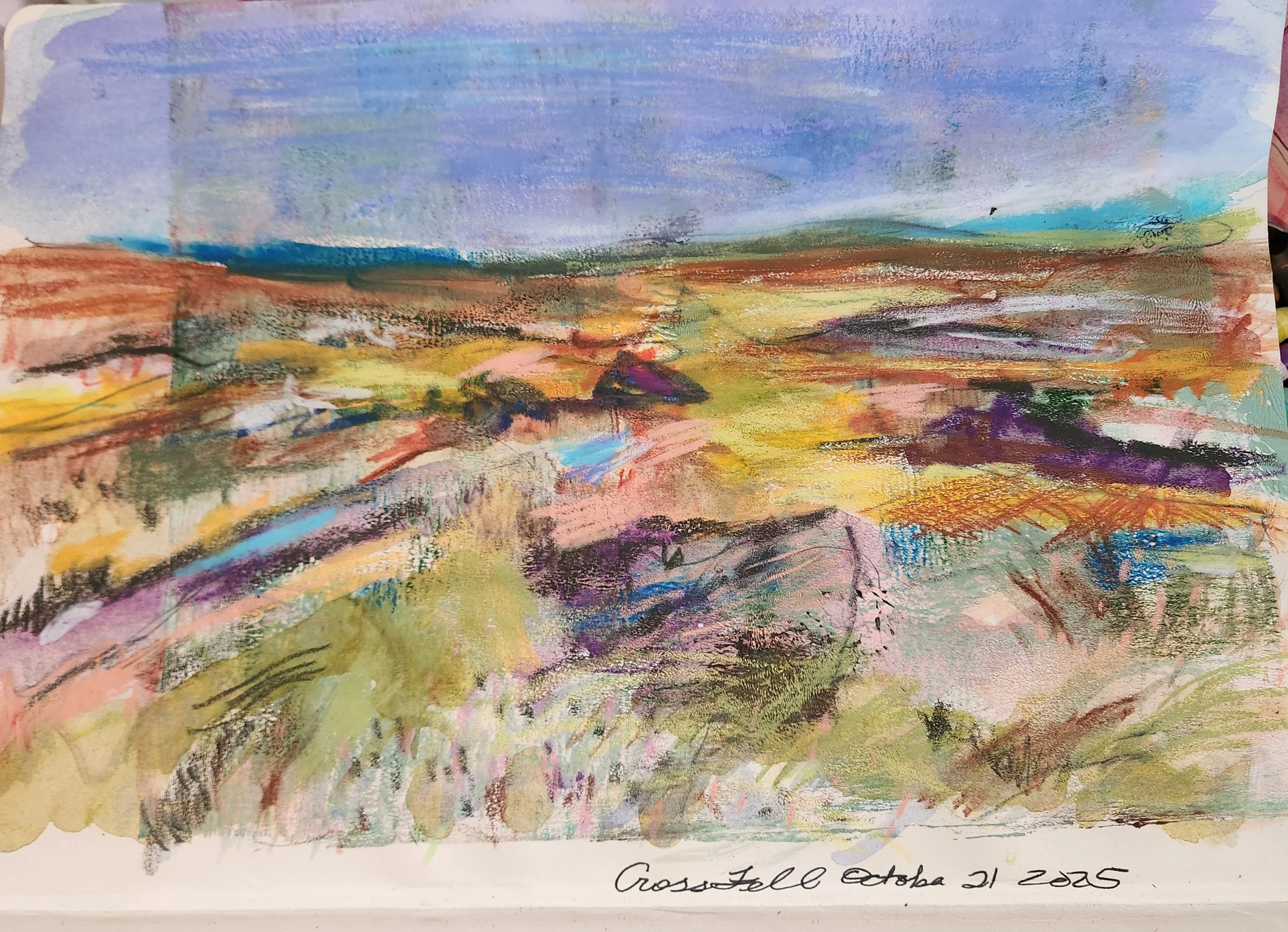 Blanket bog cross fell art cumbria mixed media.jpg
