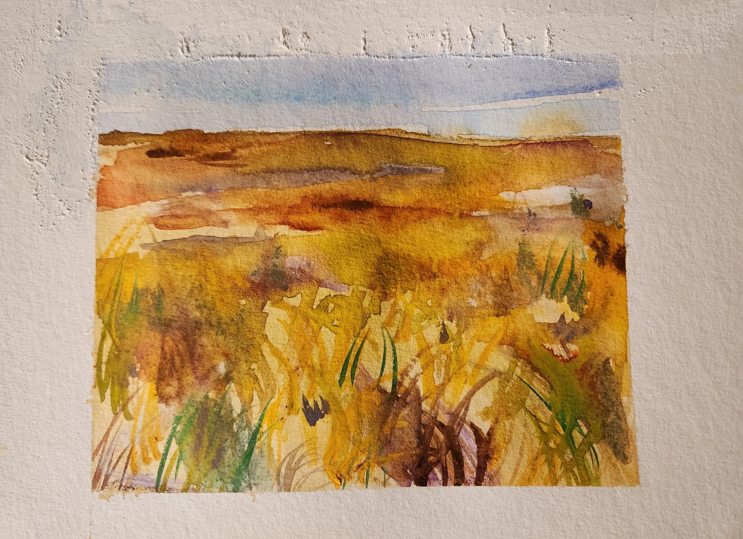 Cross fell blanket bog golden painting watercolour .jpg