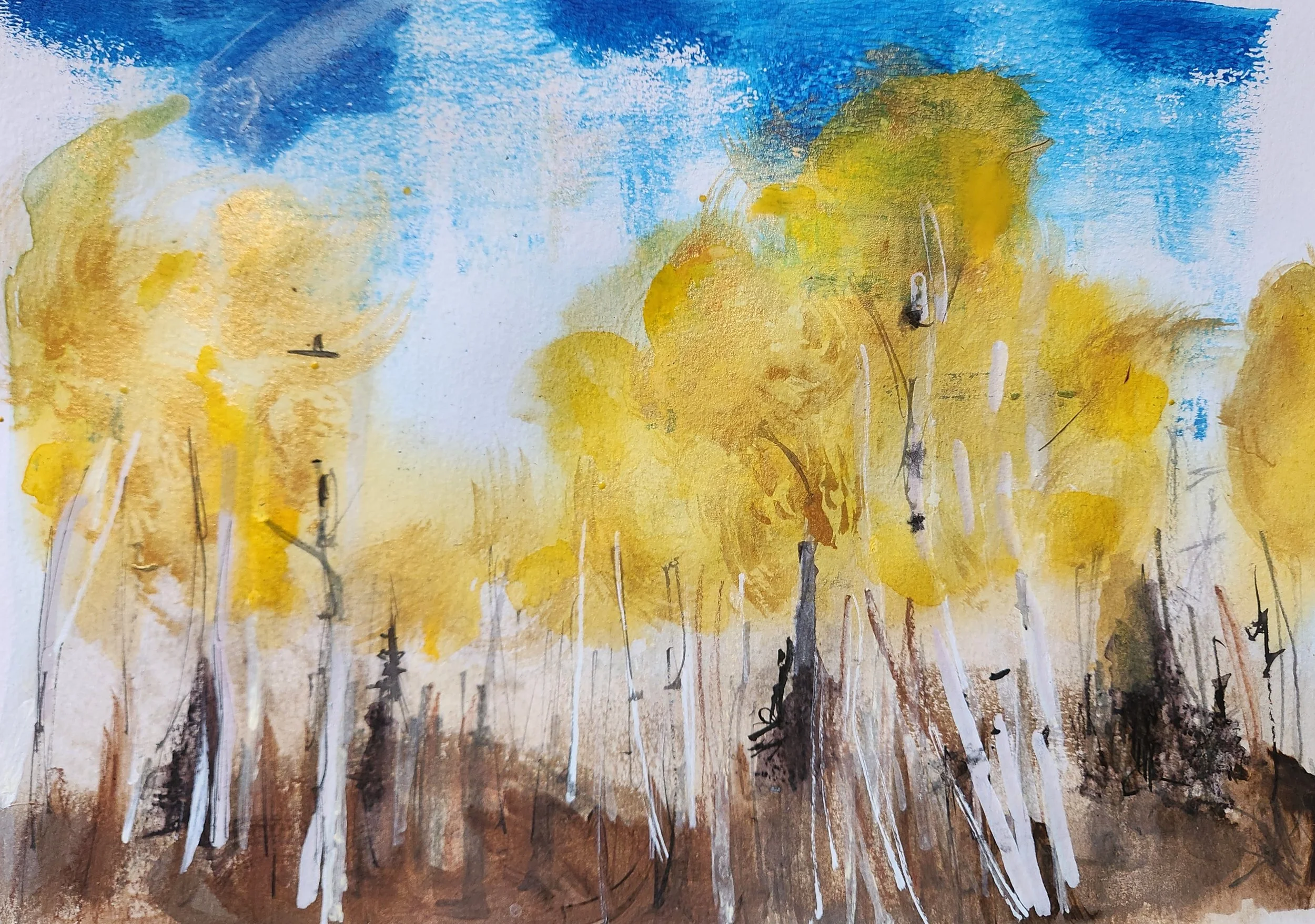 Golden poplar aspen porcupine forest saskatchewan art.jpg