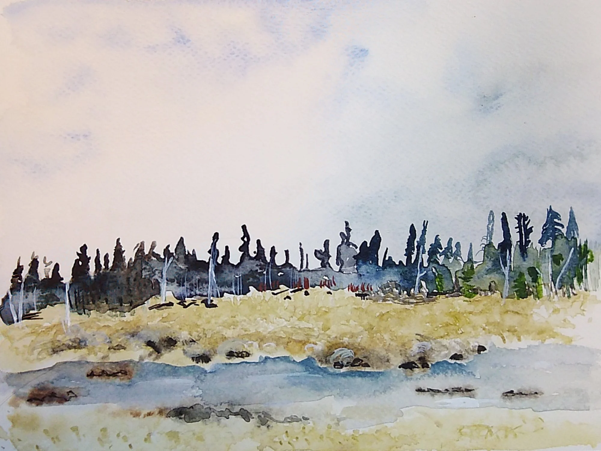 Springtime saskatchewan art forest boreal painting.jpg