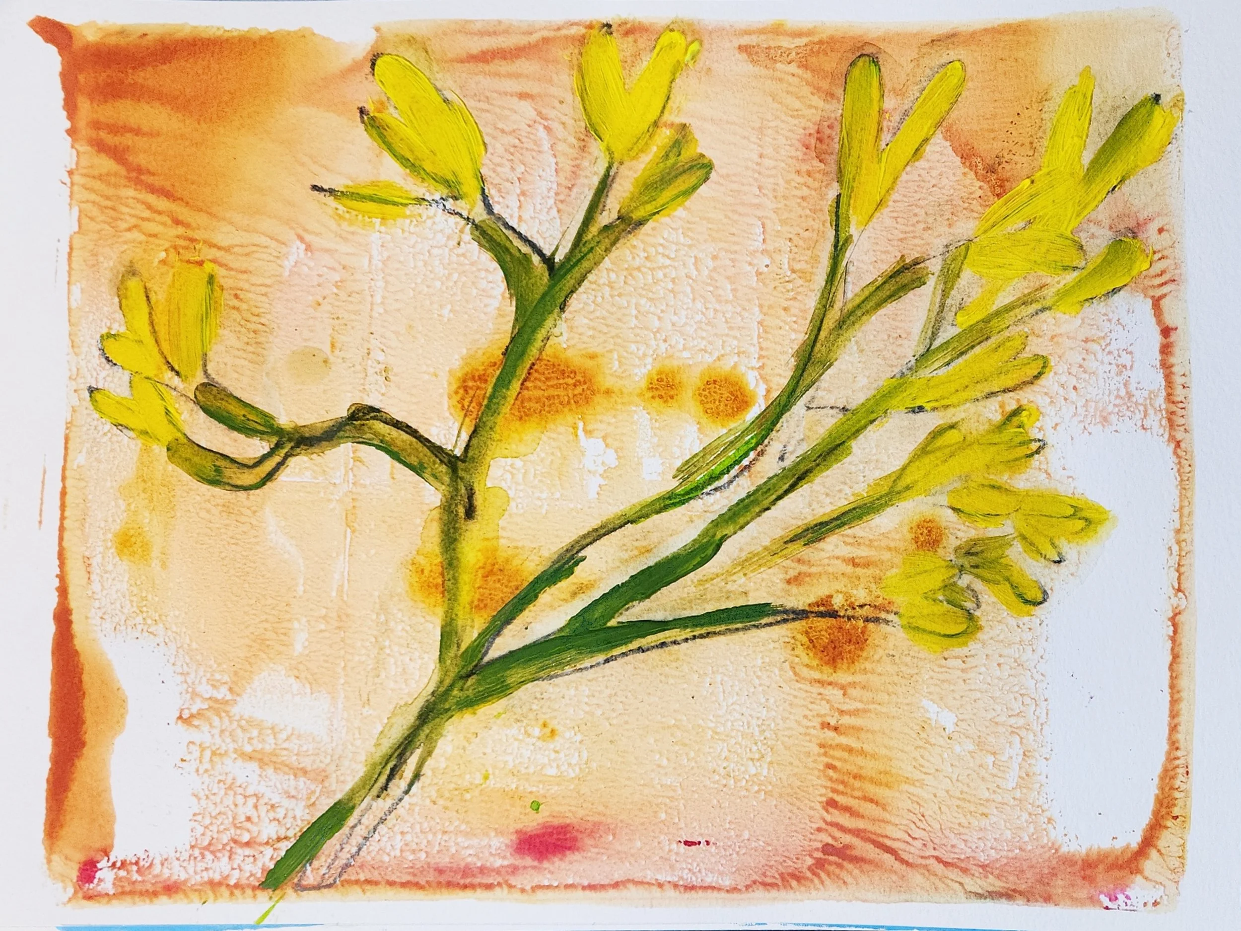 Sea wrack bladderwrack art seaweed northumberlandn coast .jpg