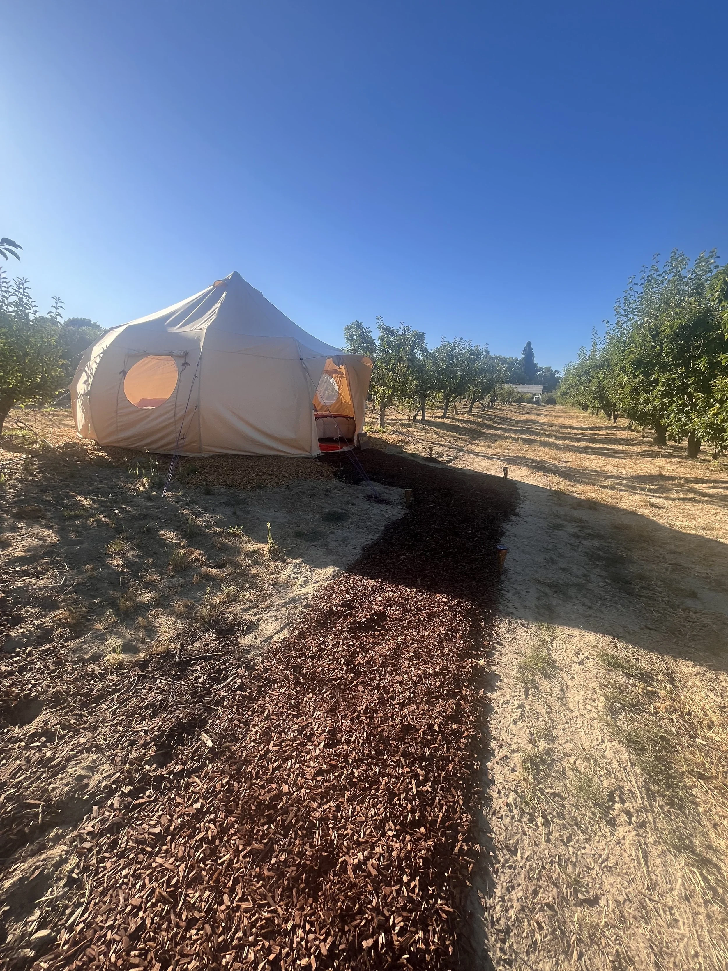 IMG_3321.jpeg
