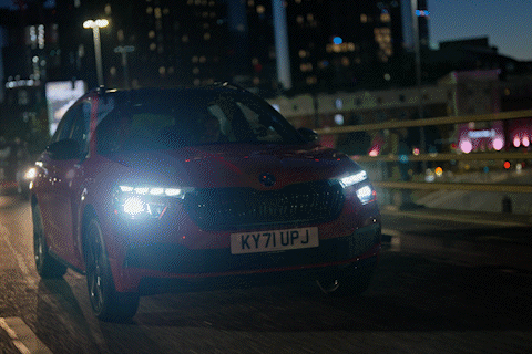Skoda Kamiq Real Life Review