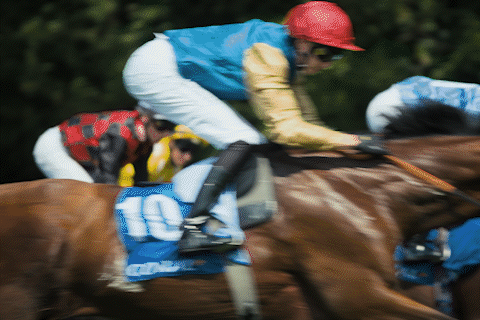 Goodwood Racing Club Promo