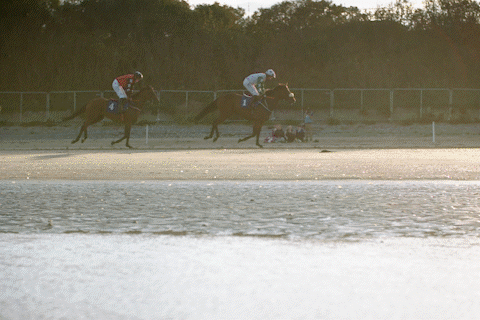 Laytown Races