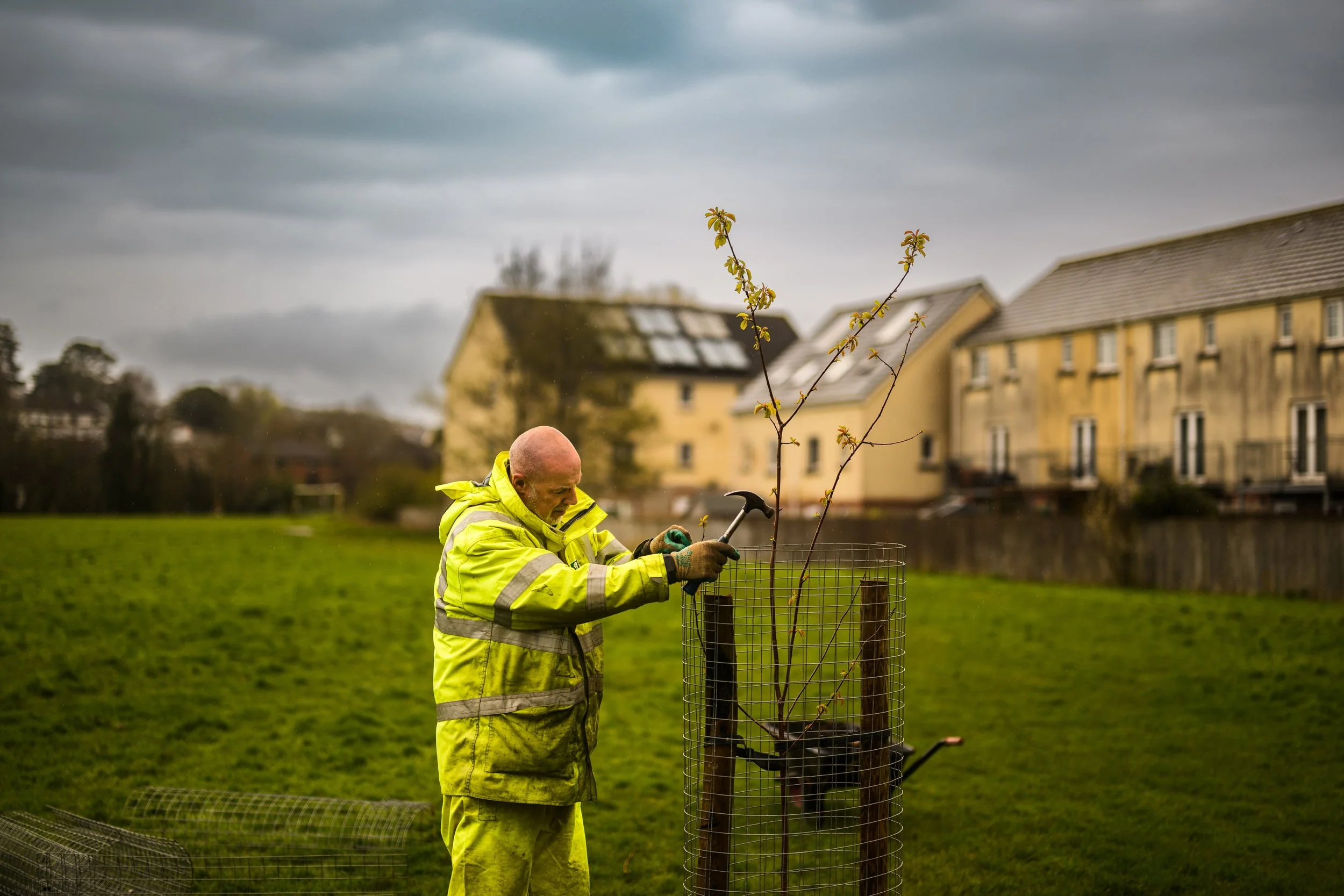Plymouth Dolphins - PSDCF Tree Planting-8386.jpg