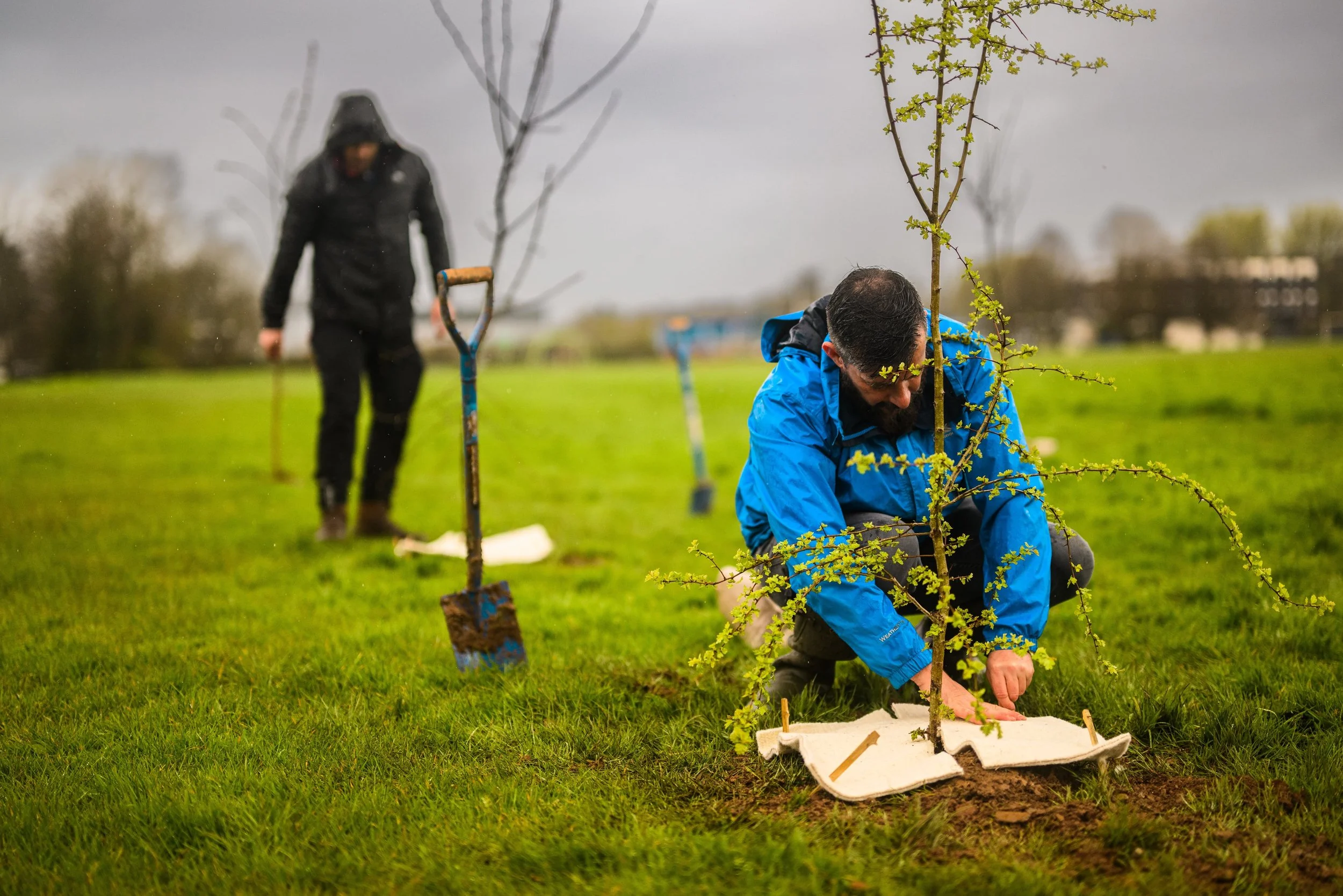 Plymouth Dolphins - PSDCF Tree Planting-8160.jpg