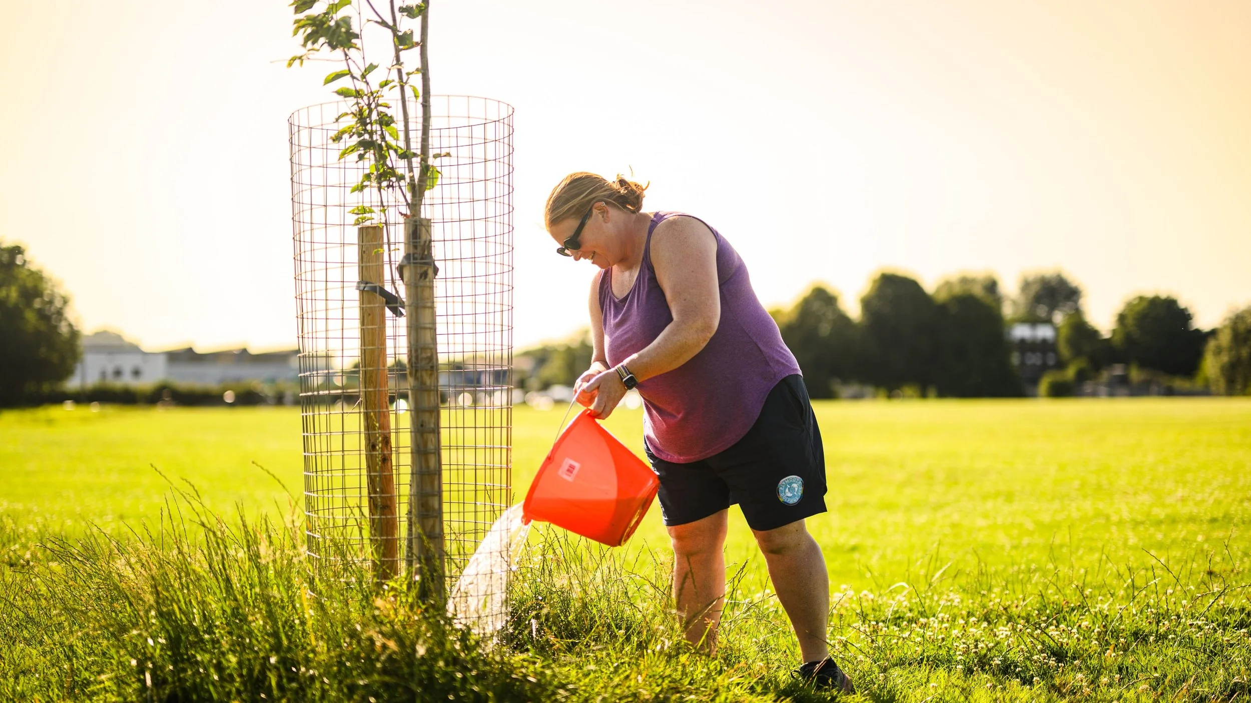 Plymouth Dolphins - Tree Care-9693.jpg