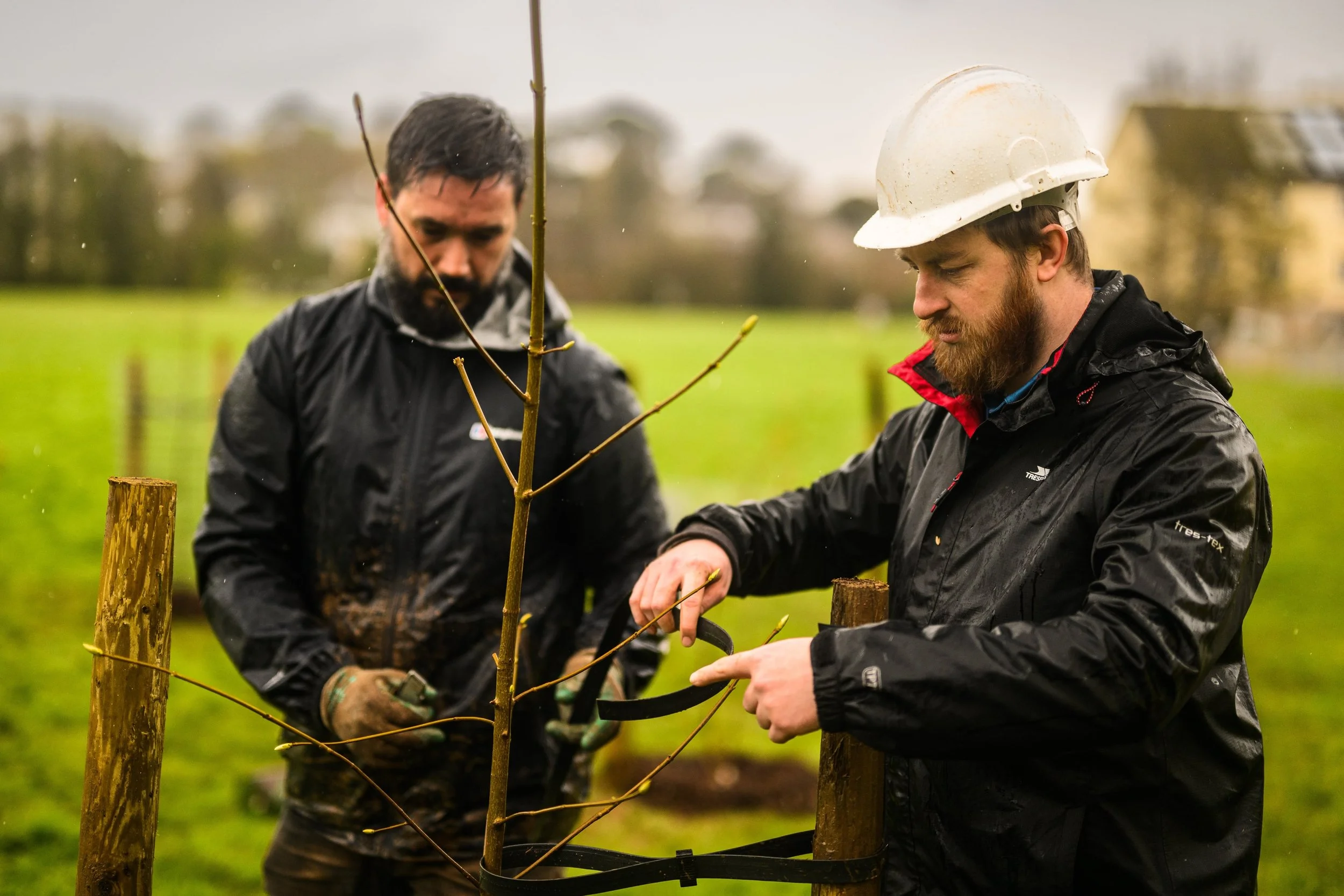 Plymouth Dolphins - PSDCF Tree Planting-8304.jpg