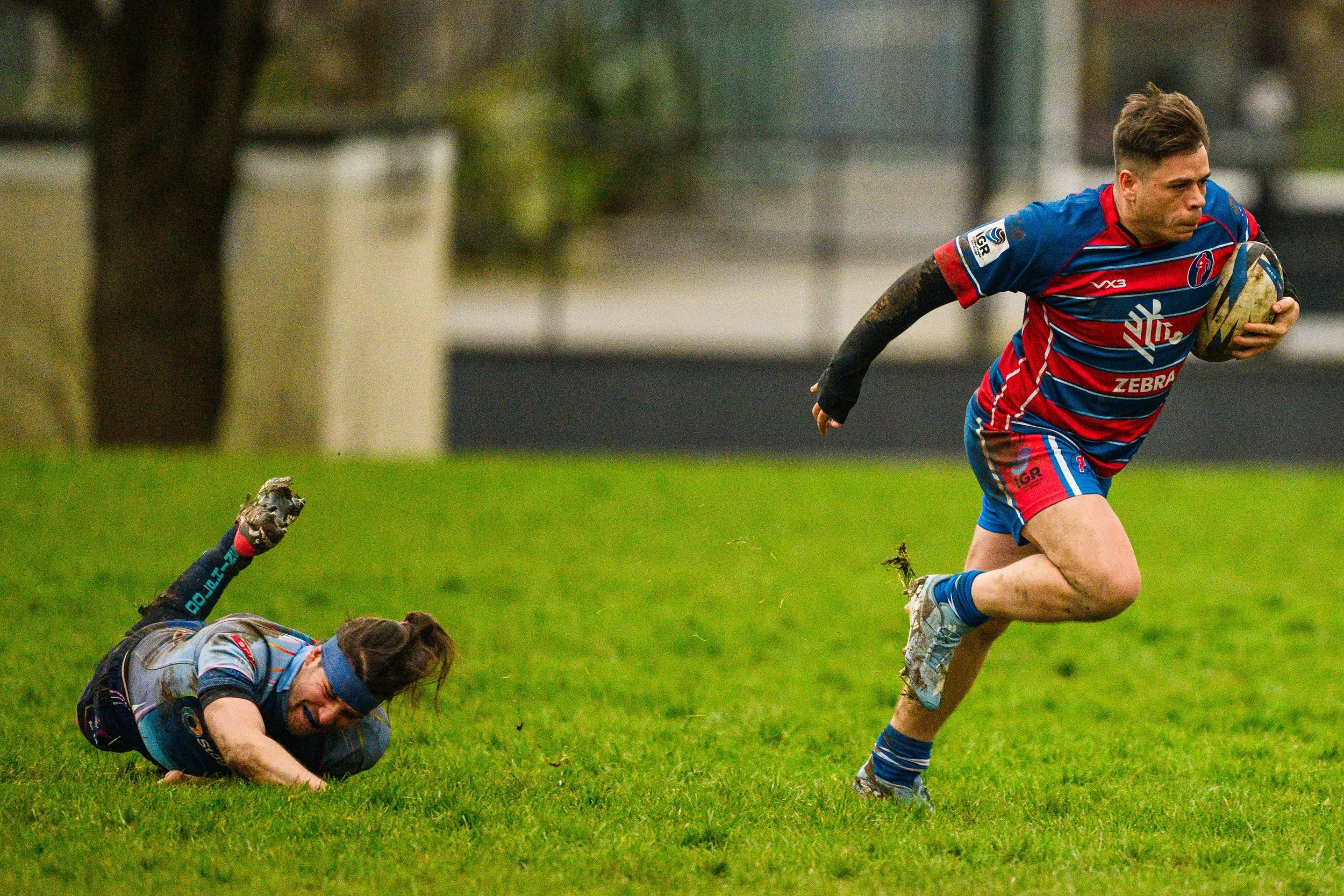 Plymouth Dolphins vs Reading Renegades-5828.jpg