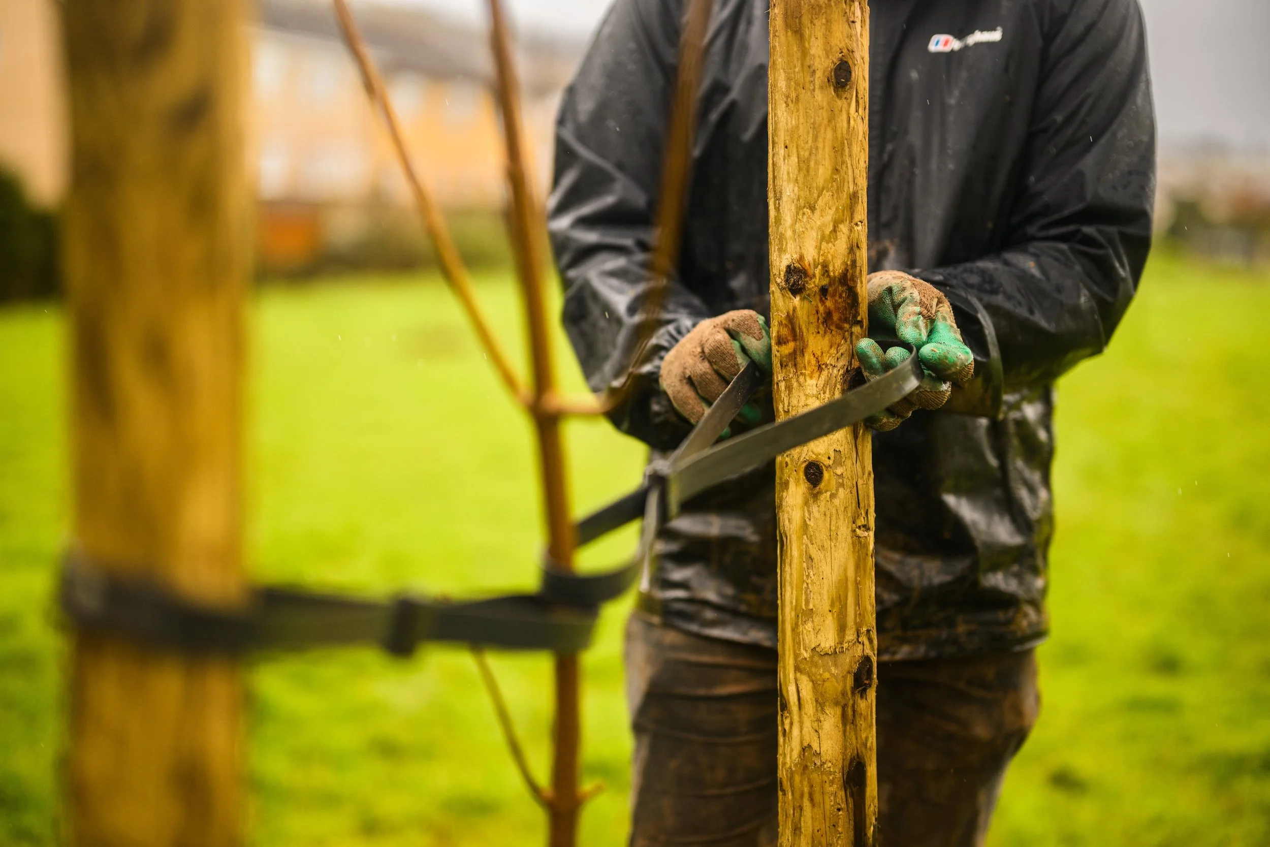 Plymouth Dolphins - PSDCF Tree Planting-8342.jpg