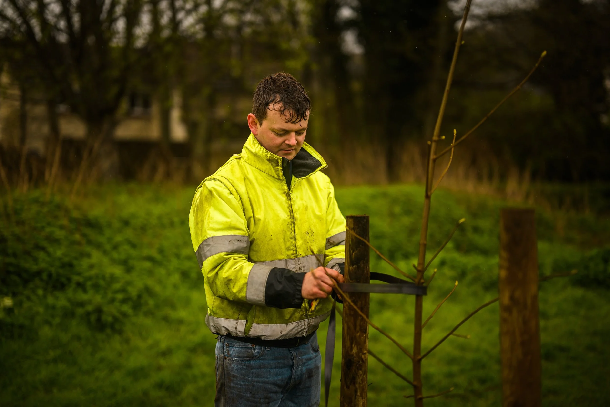 Plymouth Dolphins - PSDCF Tree Planting-8290.jpg