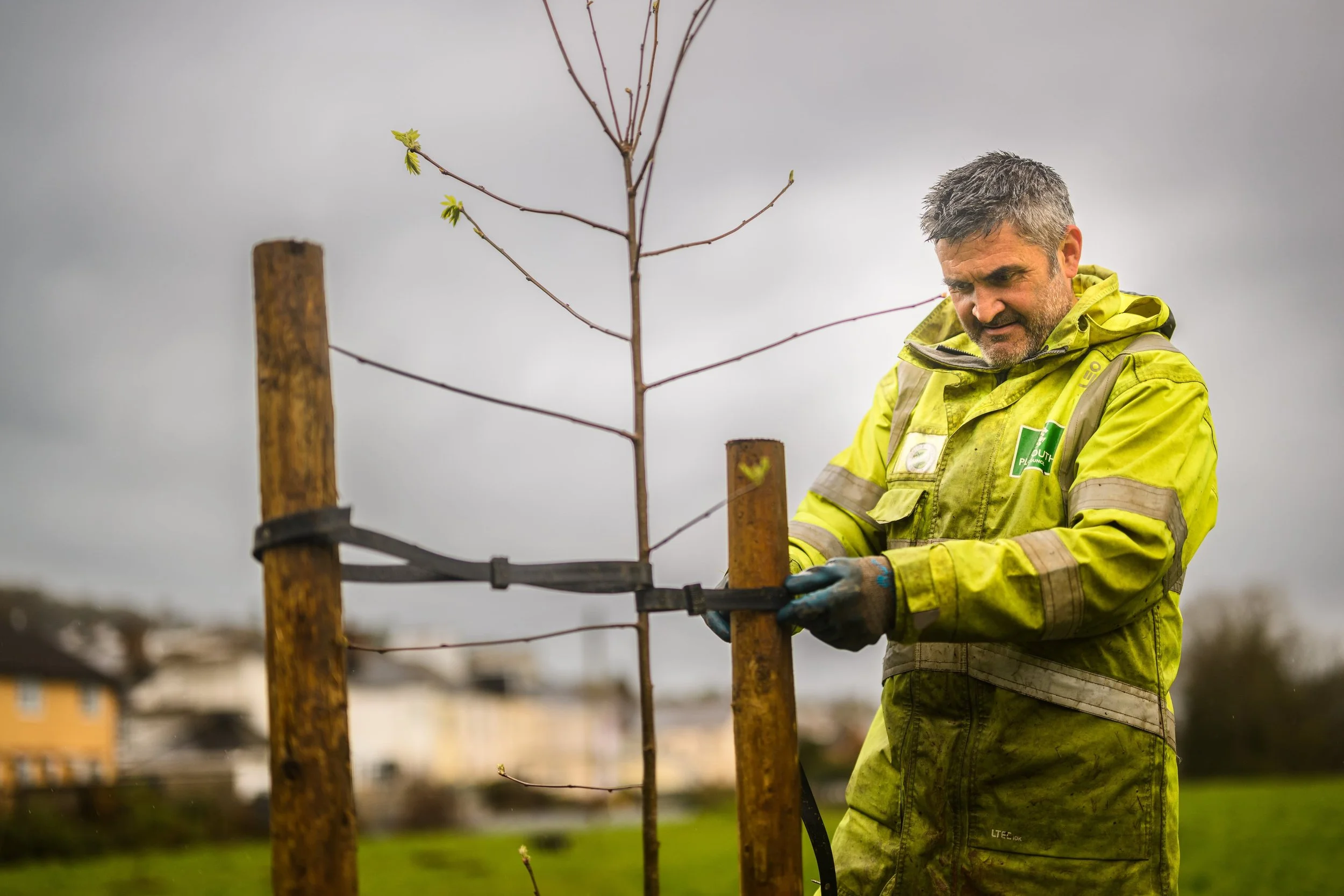 Plymouth Dolphins - PSDCF Tree Planting-8399.jpg