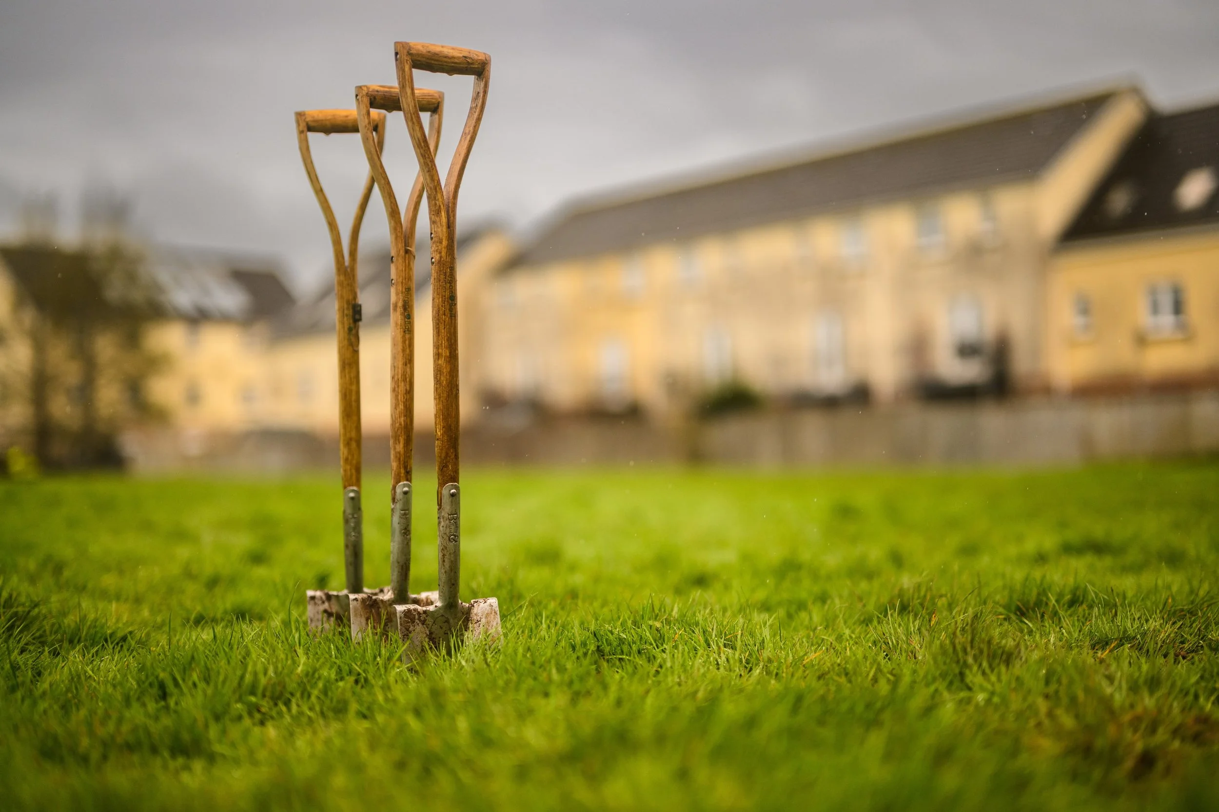 Plymouth Dolphins - PSDCF Tree Planting-8068.jpg