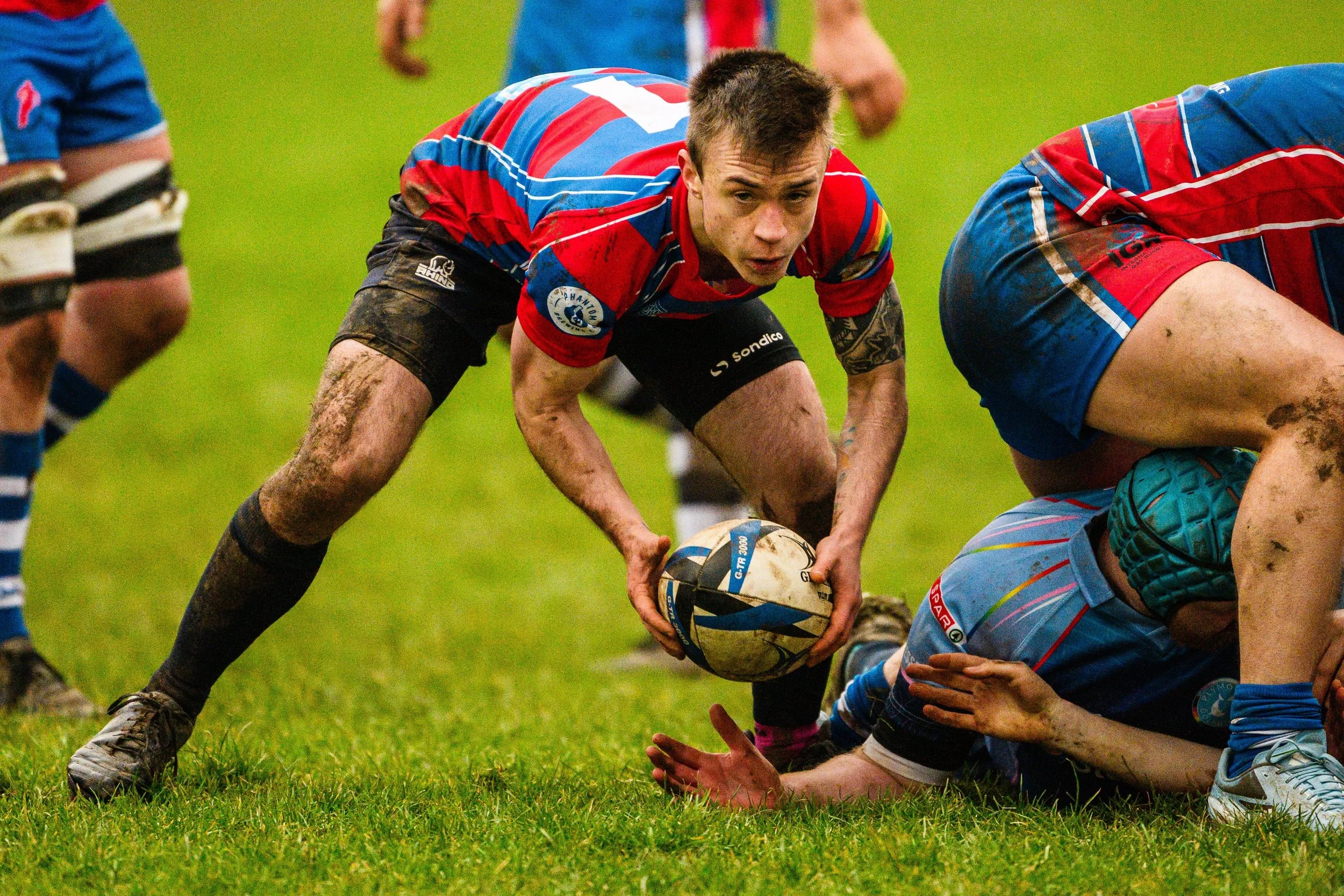 Plymouth Dolphins vs Reading Renegades-5246.jpg