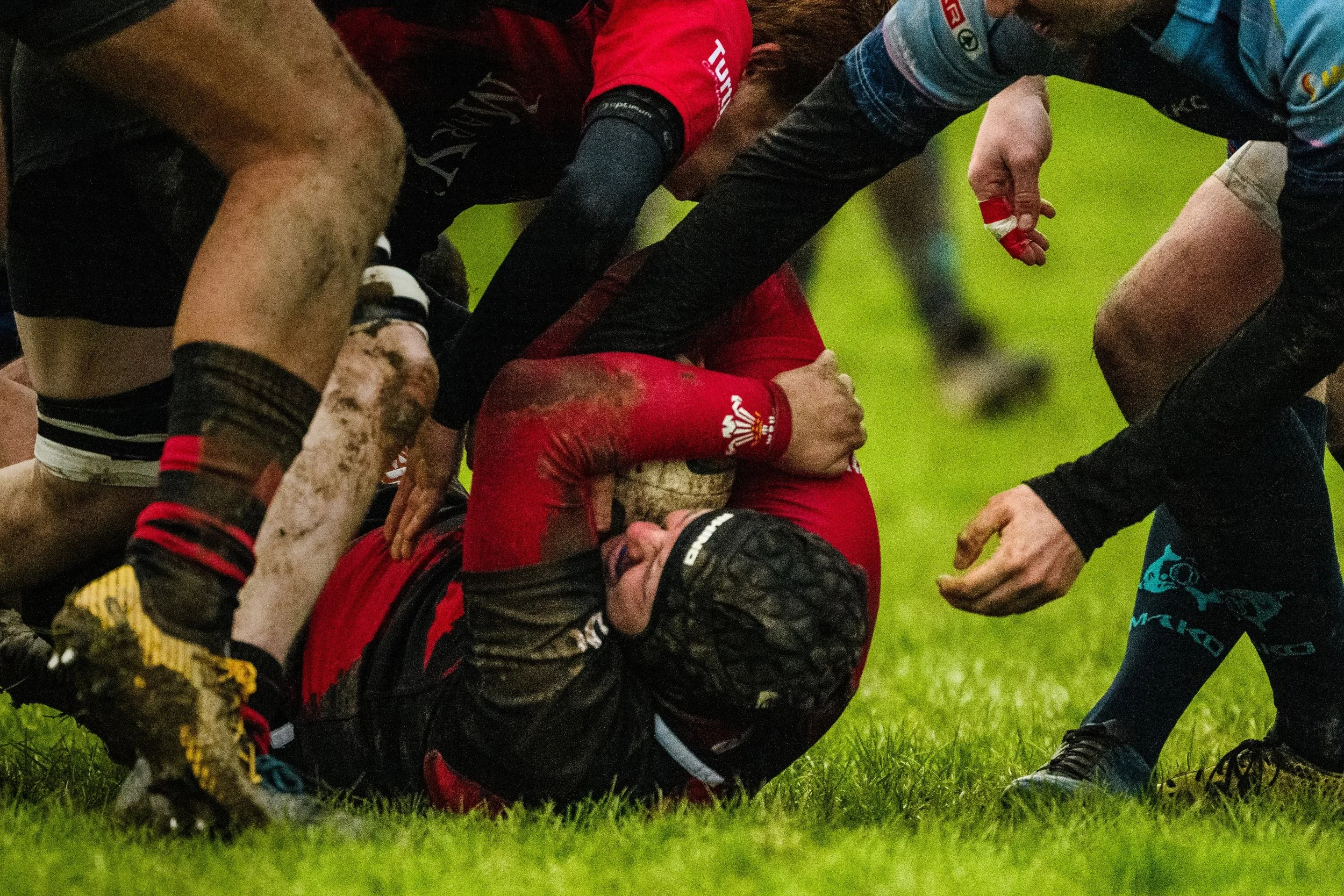 Plymouth Dolphins vs Cardiff Lions-1569.jpg