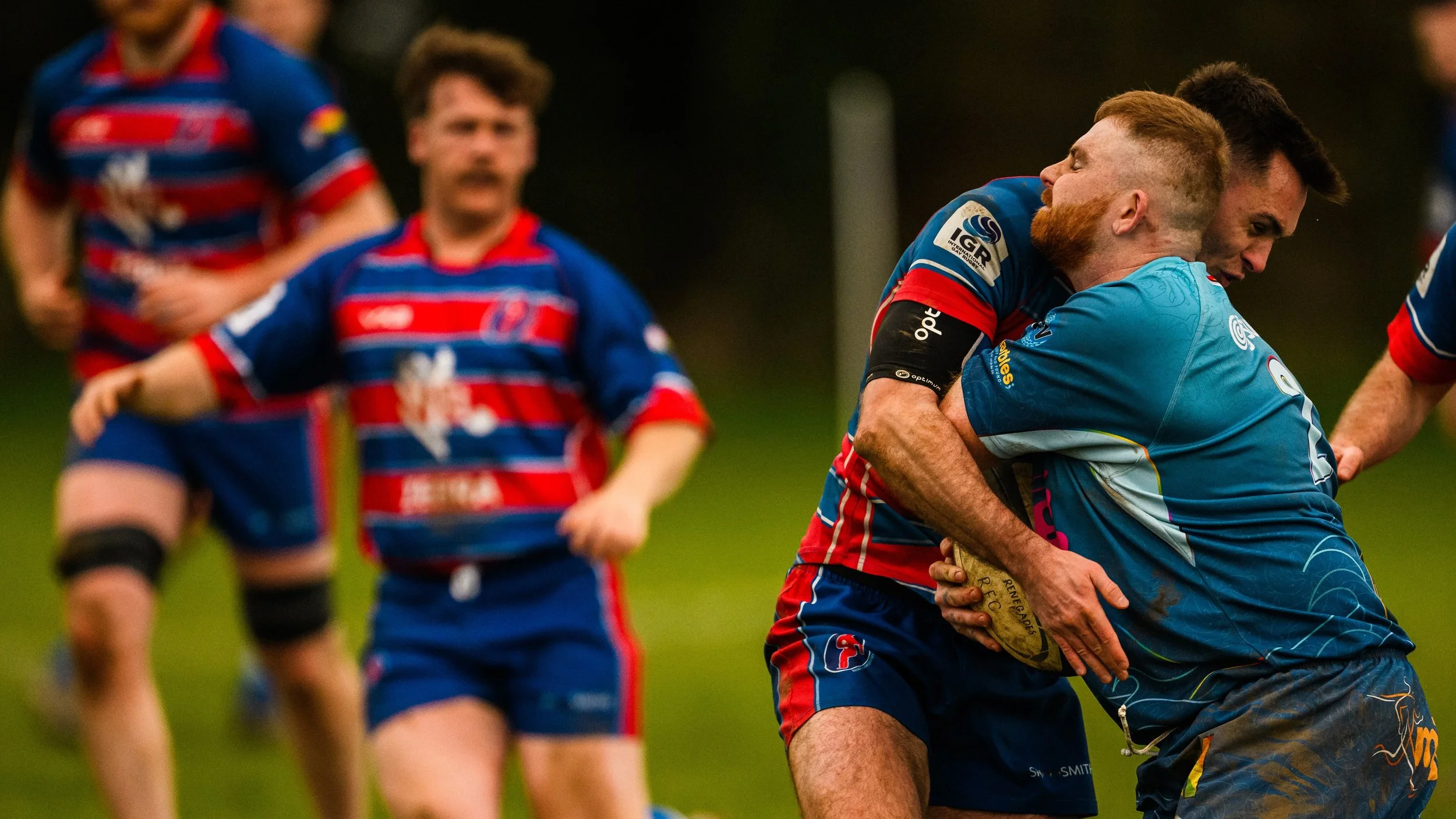 Plymouth Dolphins vs Reading Renegades-6540.jpg