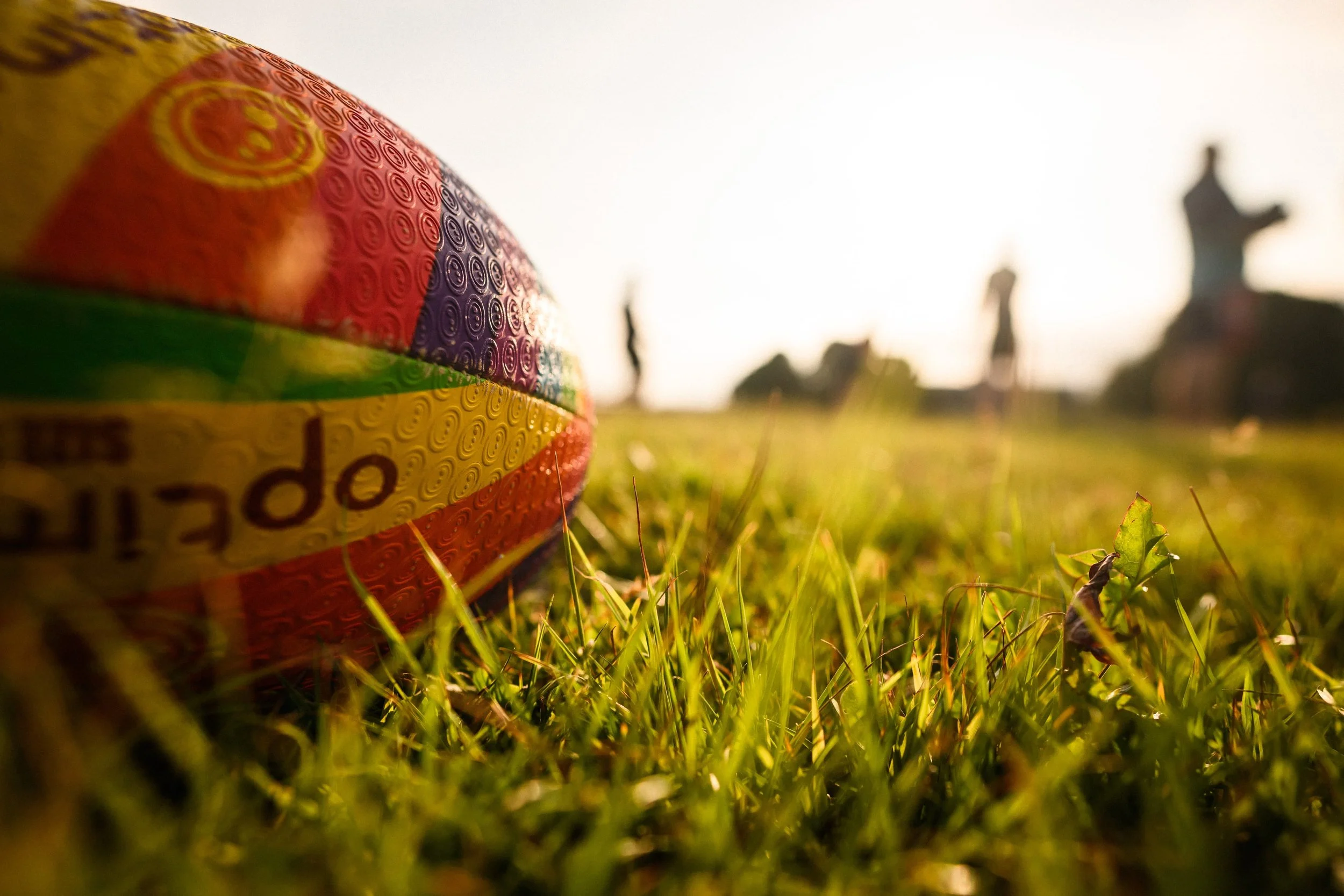 Plymouth Dolphins RFC-1786.jpg