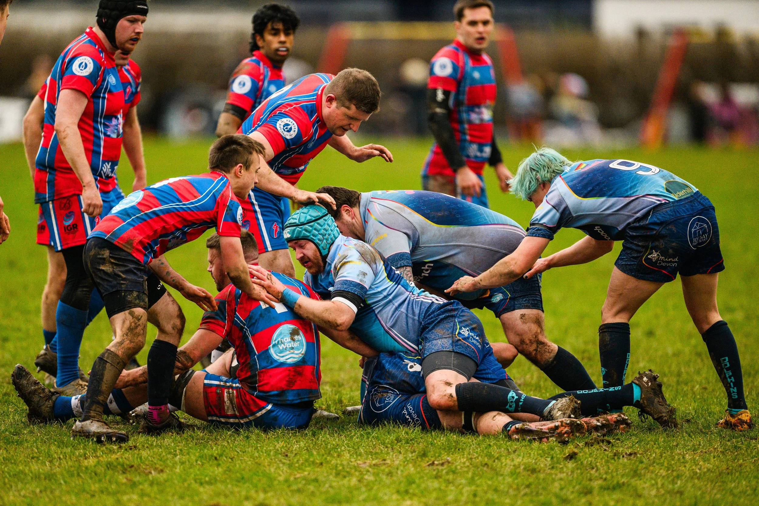 Plymouth Dolphins vs Reading Renegades-5485.jpg