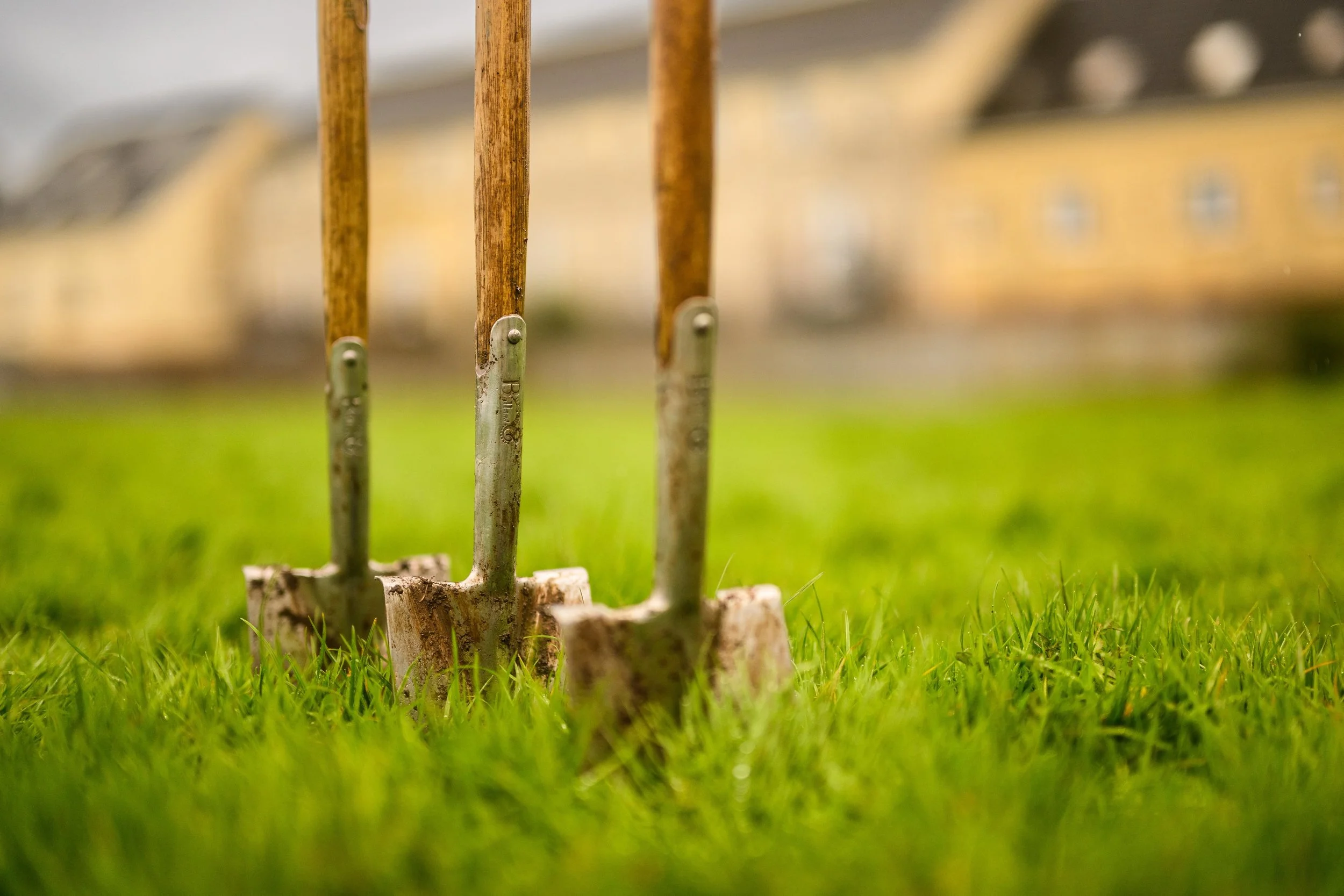 Plymouth Dolphins - PSDCF Tree Planting-8069.jpg