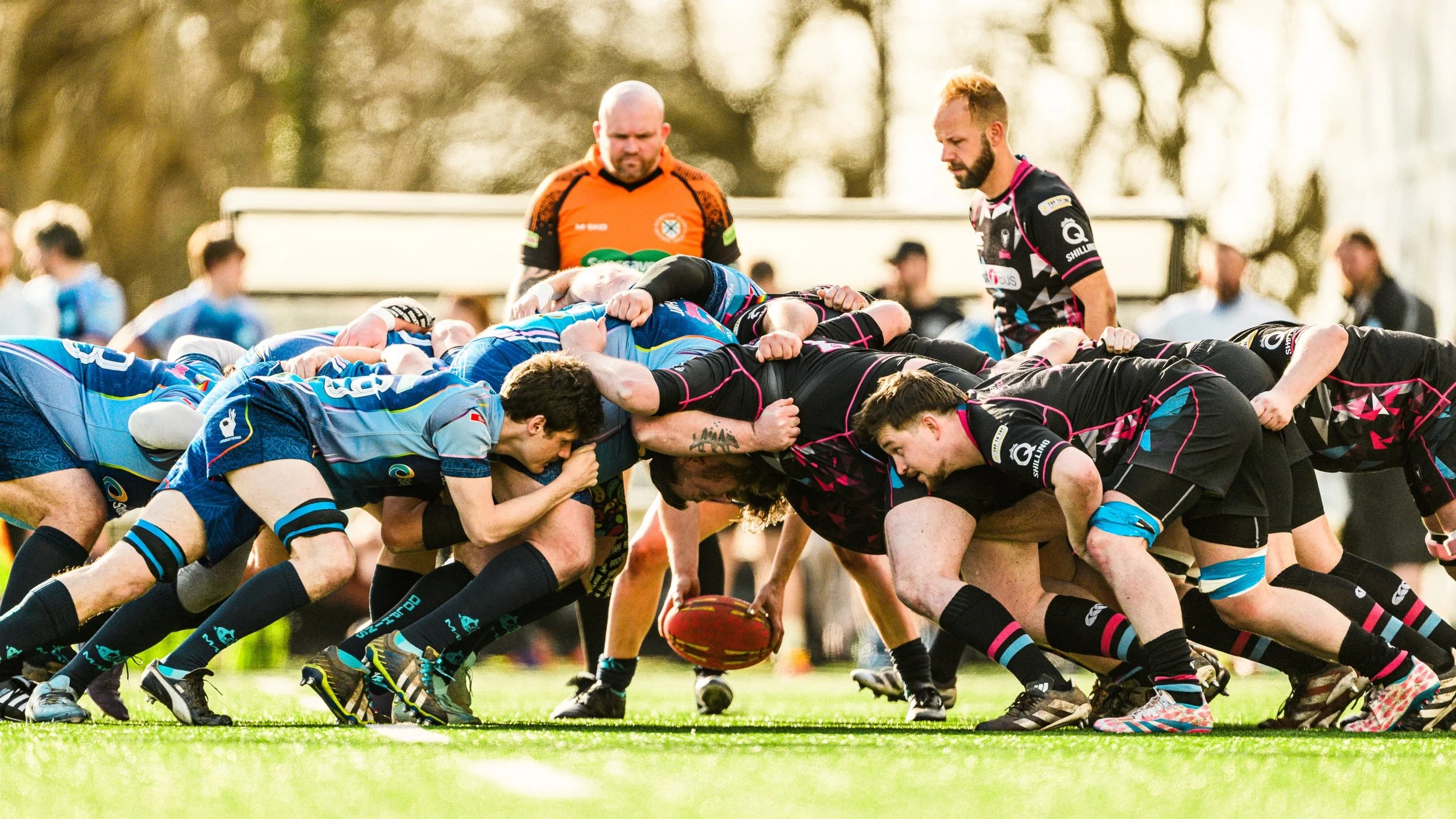 Plymouth Dolphins vs Bristol Bisons 1st-8415.jpg