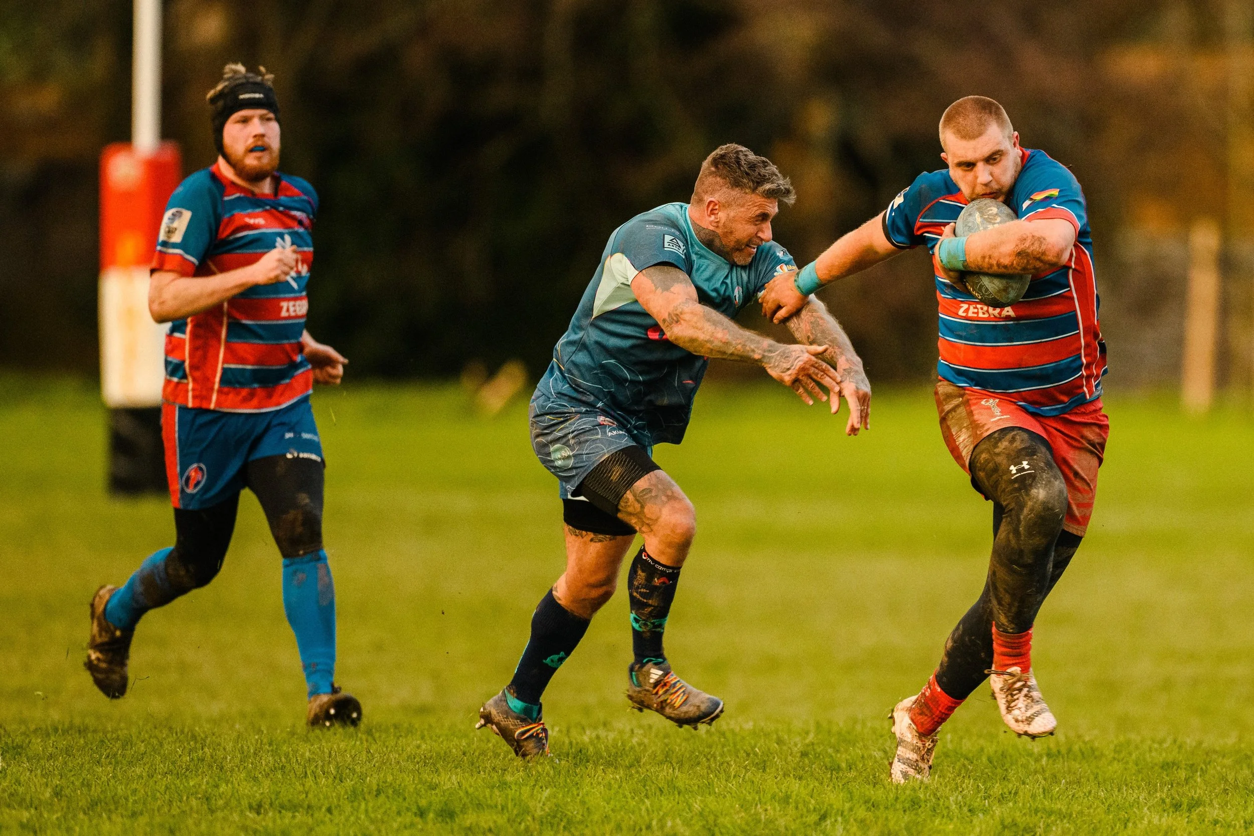 Plymouth Dolphins vs Reading Renegades-2019.jpg