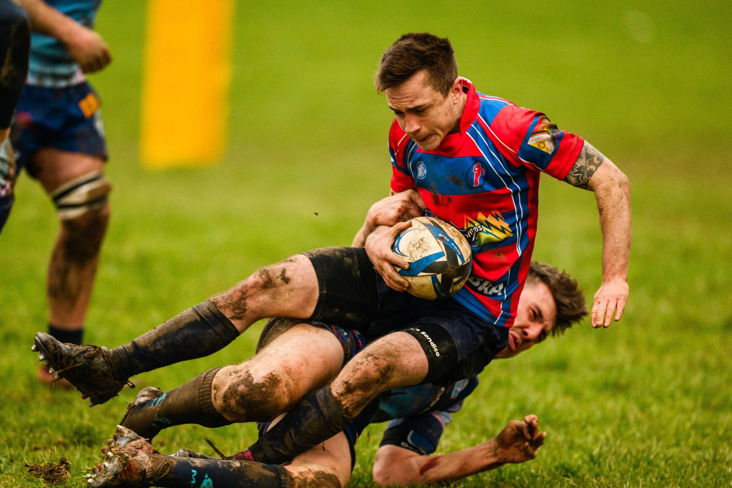 Plymouth Dolphins vs Reading Renegades-6411.jpg