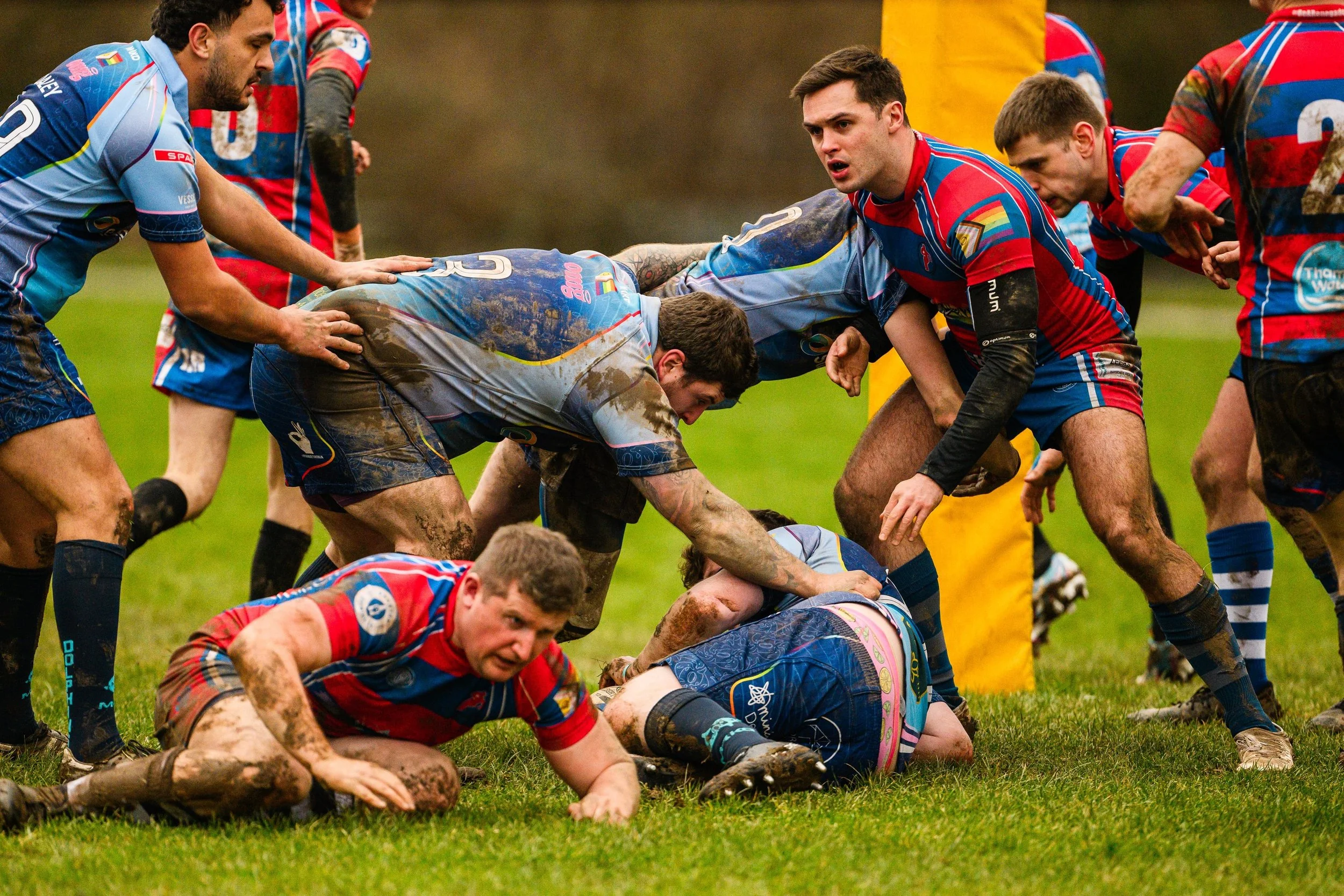Plymouth Dolphins vs Reading Renegades-7461.jpg