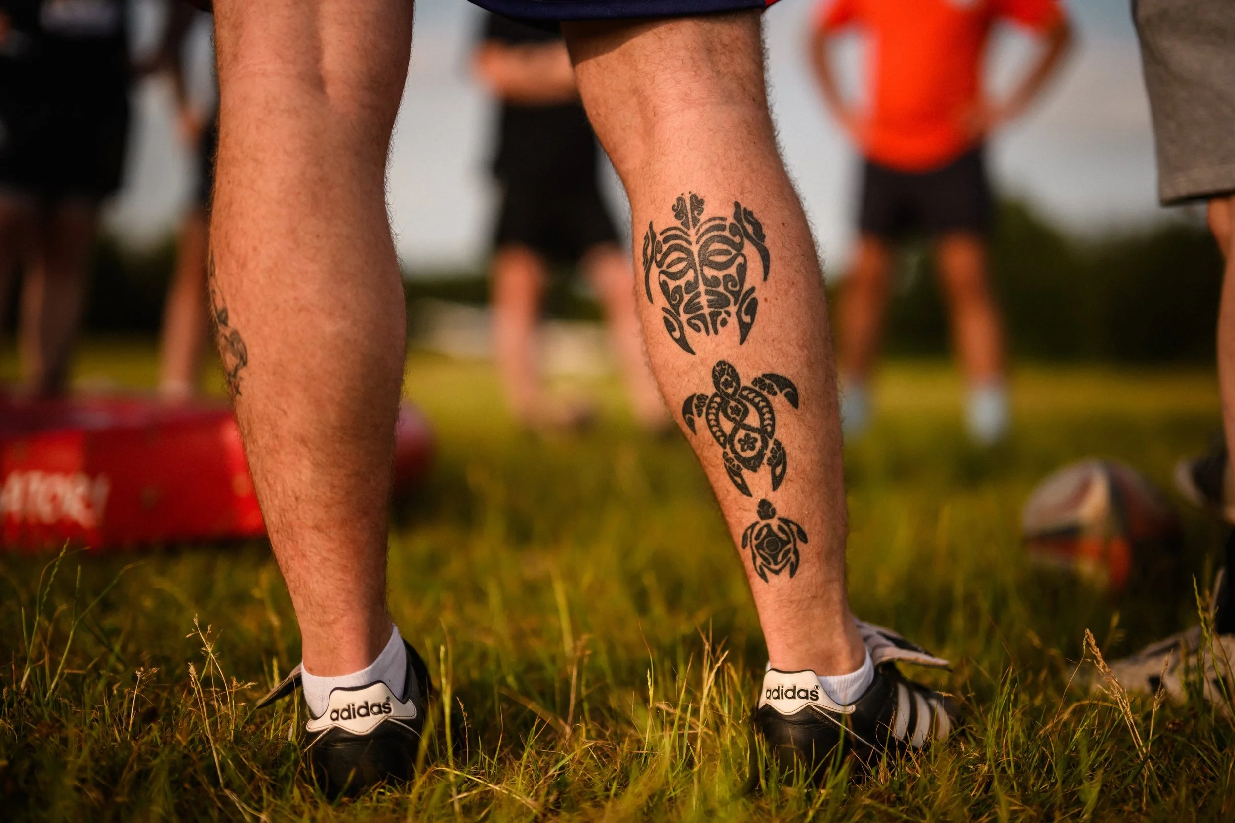 Plymouth Dolphins RFC-1515.jpg