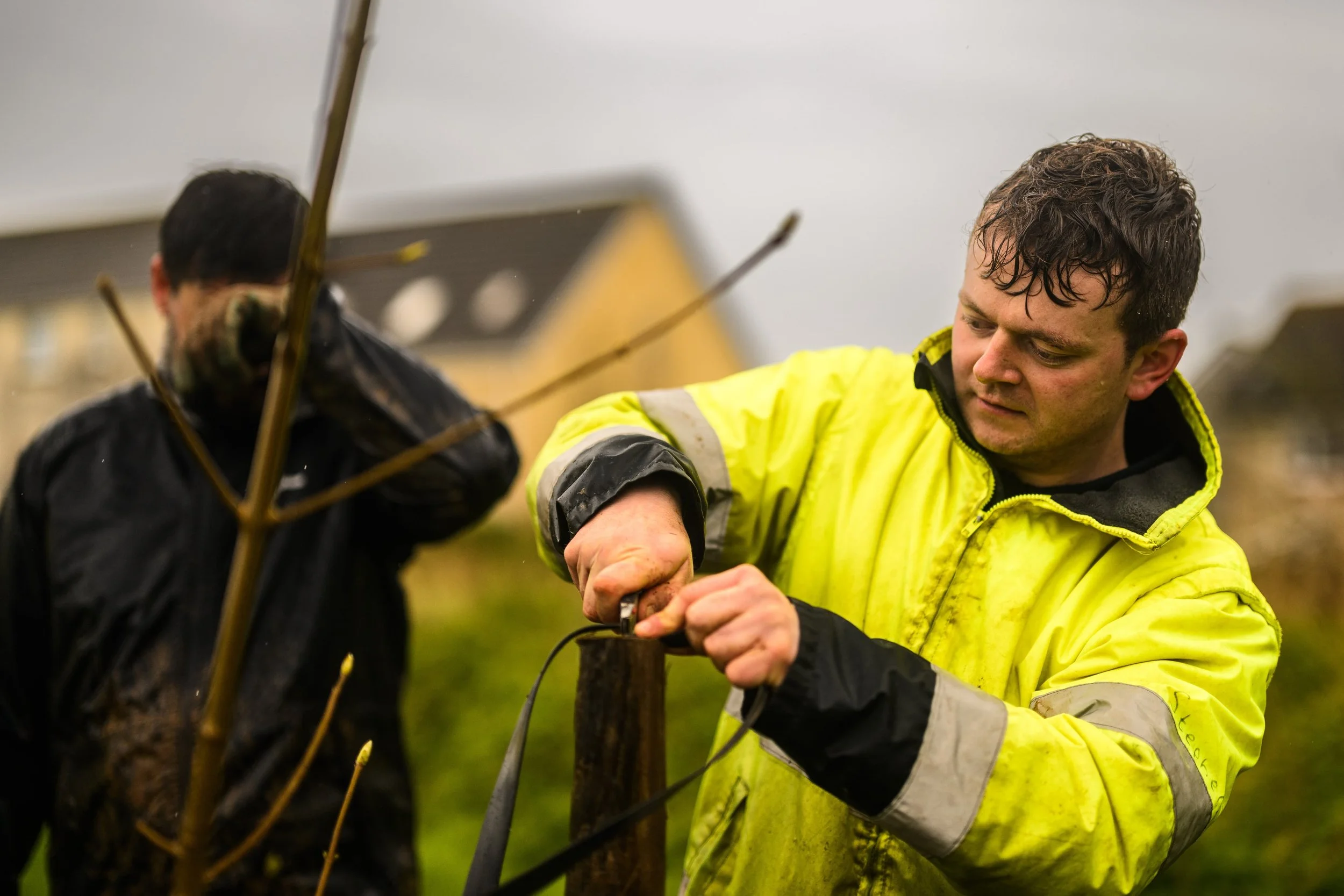Plymouth Dolphins - PSDCF Tree Planting-8292.jpg