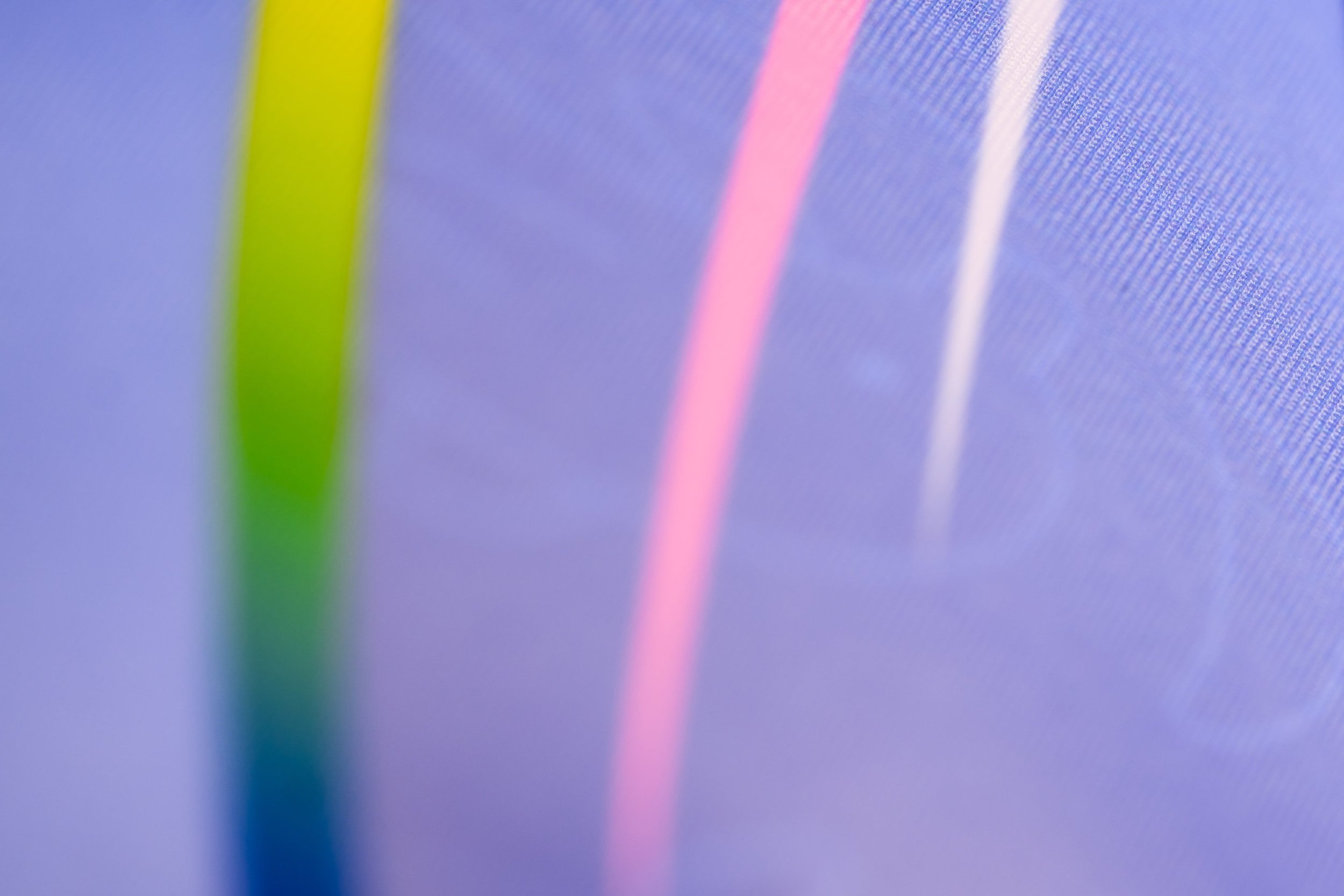 Plymouth Dolphins Gucci-4328.jpg