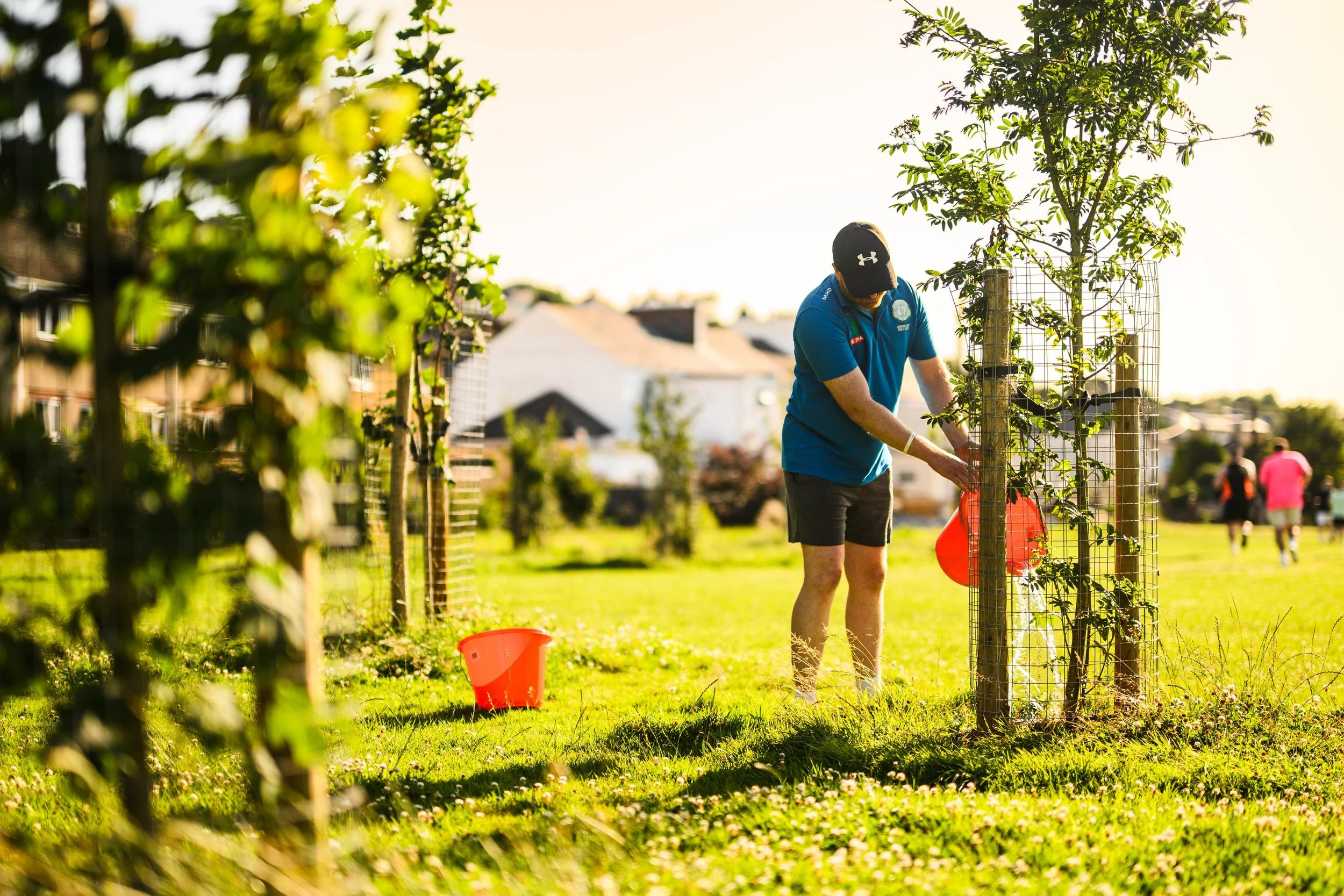 Plymouth Dolphins - Tree Care-9790.jpg