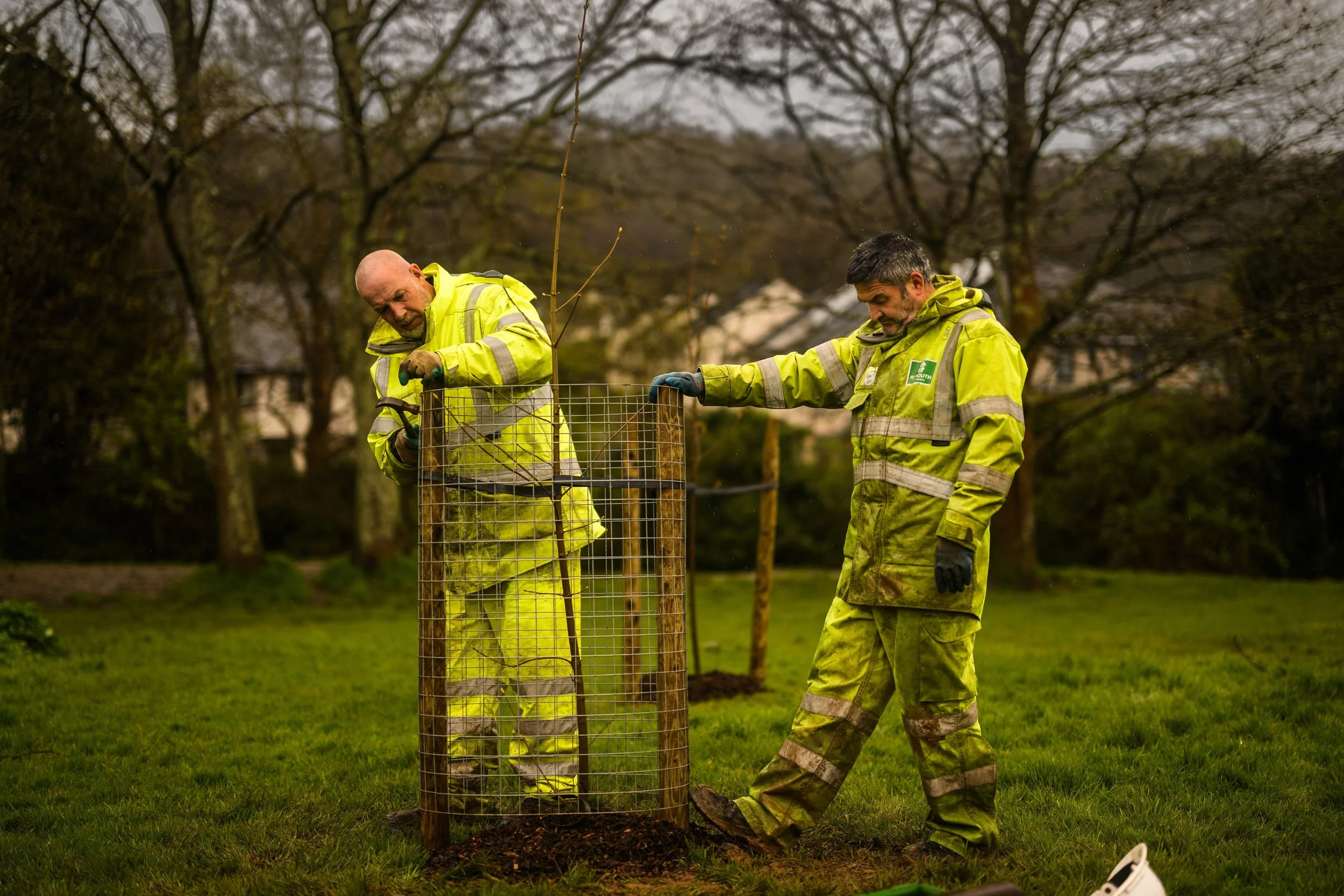 Plymouth Dolphins - PSDCF Tree Planting-8369.jpg