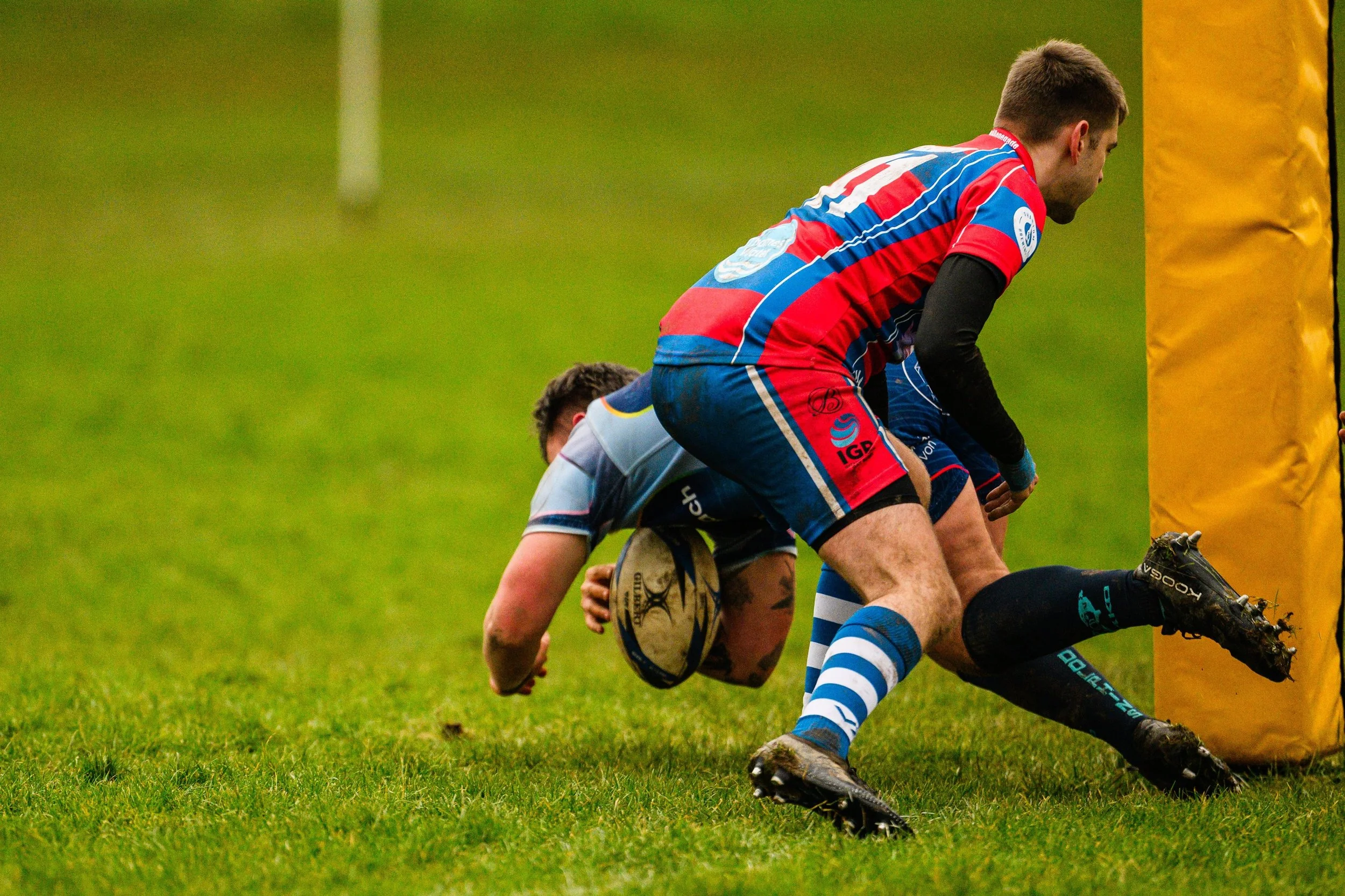 Plymouth Dolphins vs Reading Renegades-5333.jpg