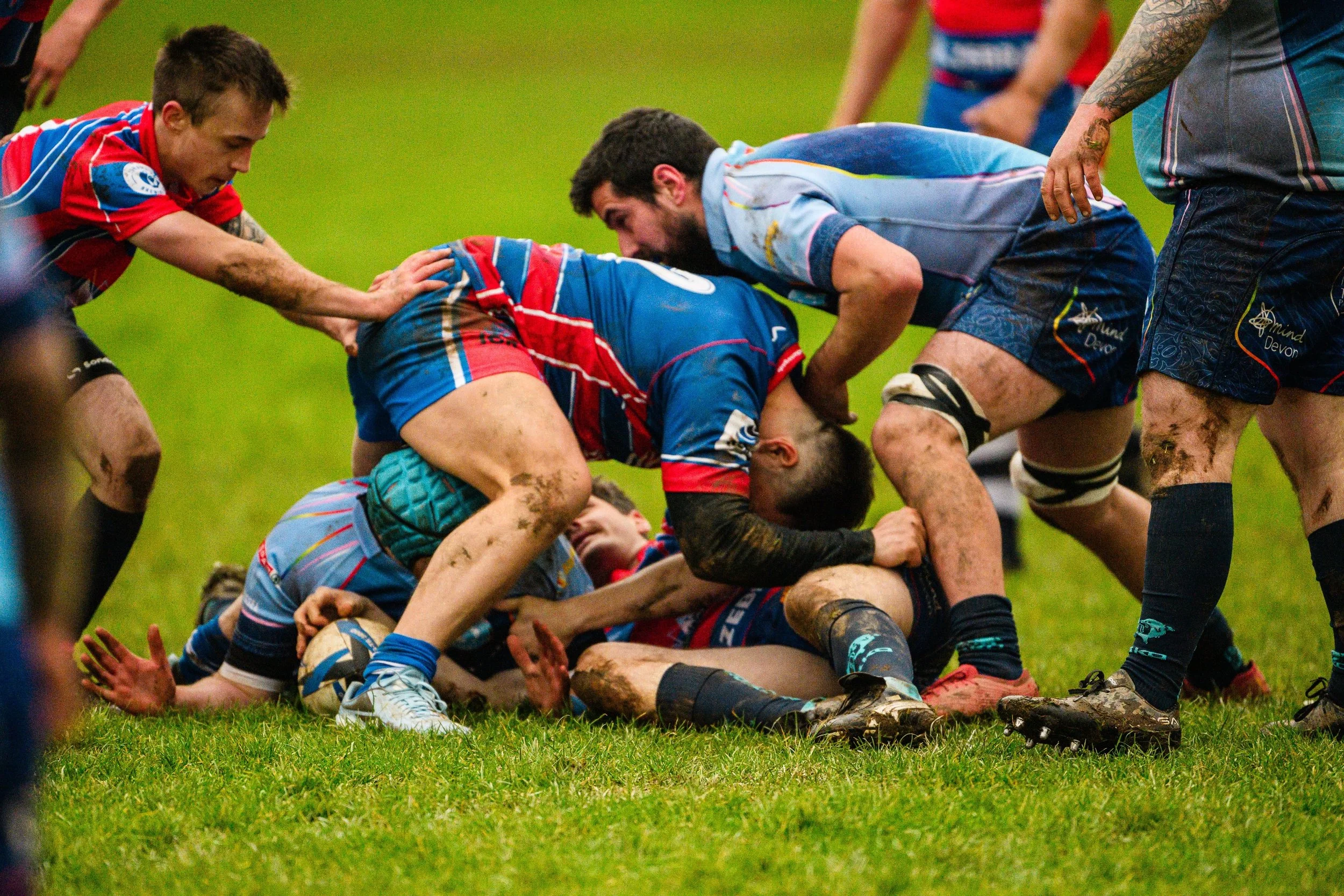 Plymouth Dolphins vs Reading Renegades-5242.jpg
